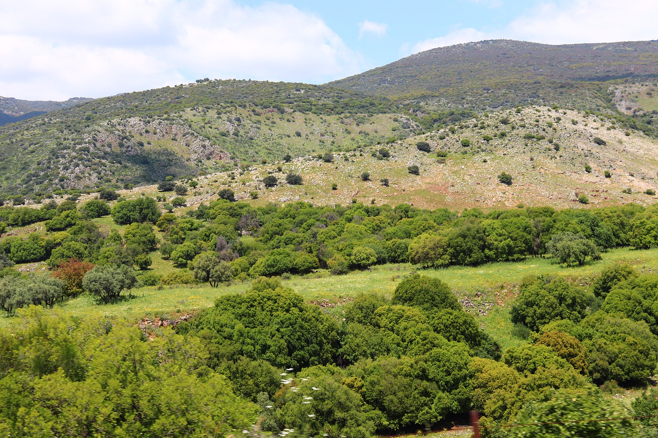 hills  mountains  green free photo