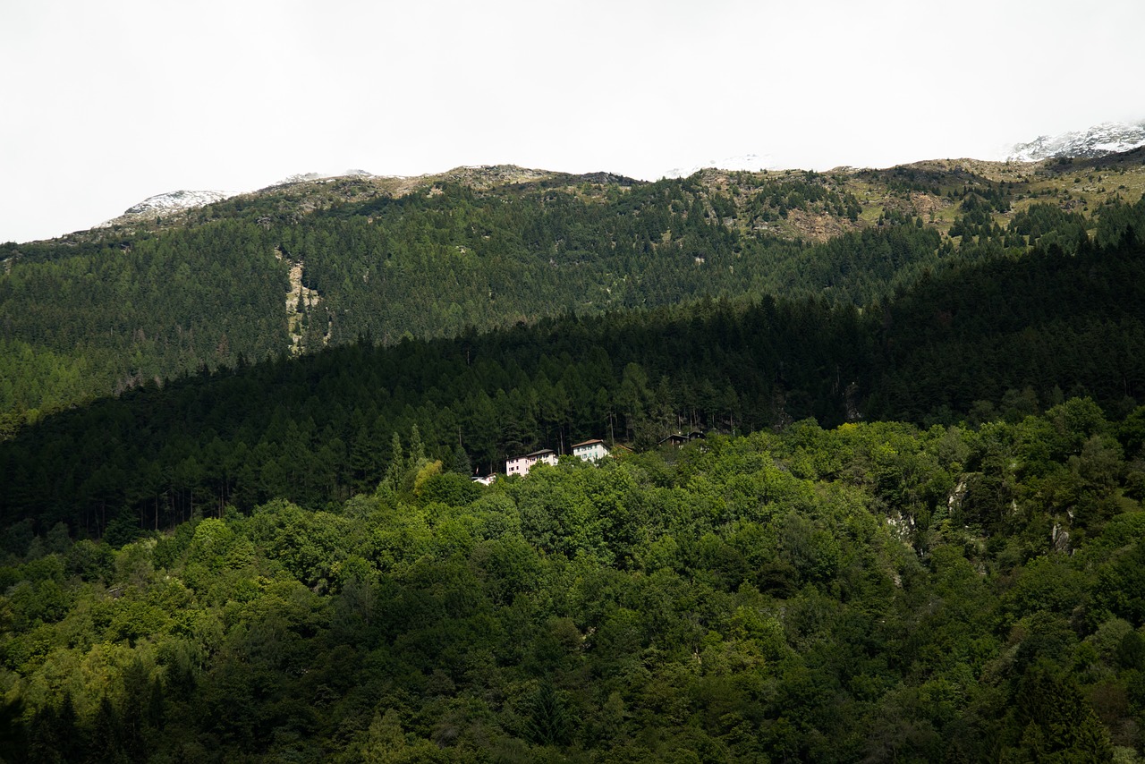 hillside house landscape free photo