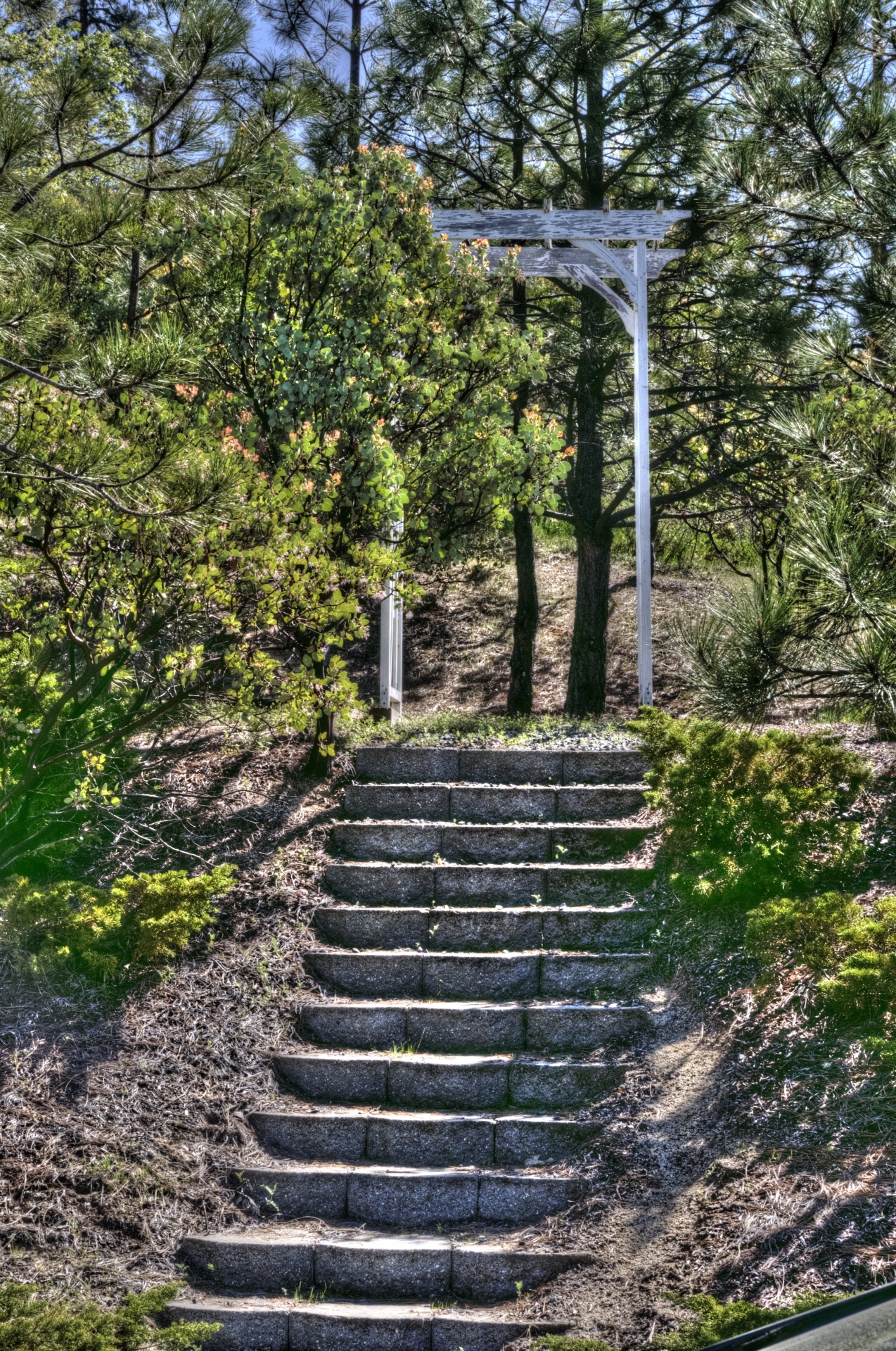 Steep Stairs To The Hill Stock Photo, Picture and Royalty Free Image. Image  93650601.