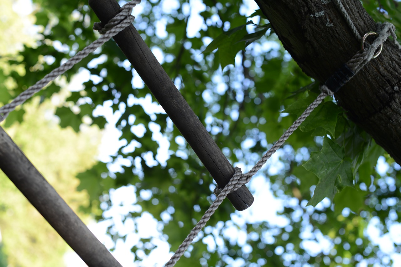 himmel ladder leaf free photo