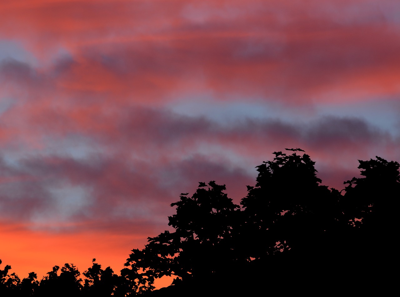 himmel sunset cloud free photo