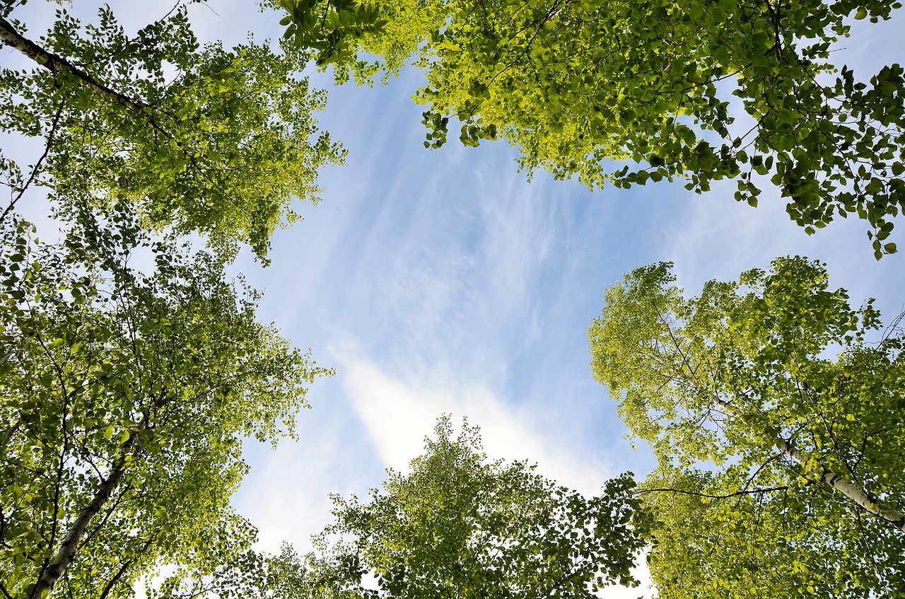 himmel blue summer free photo