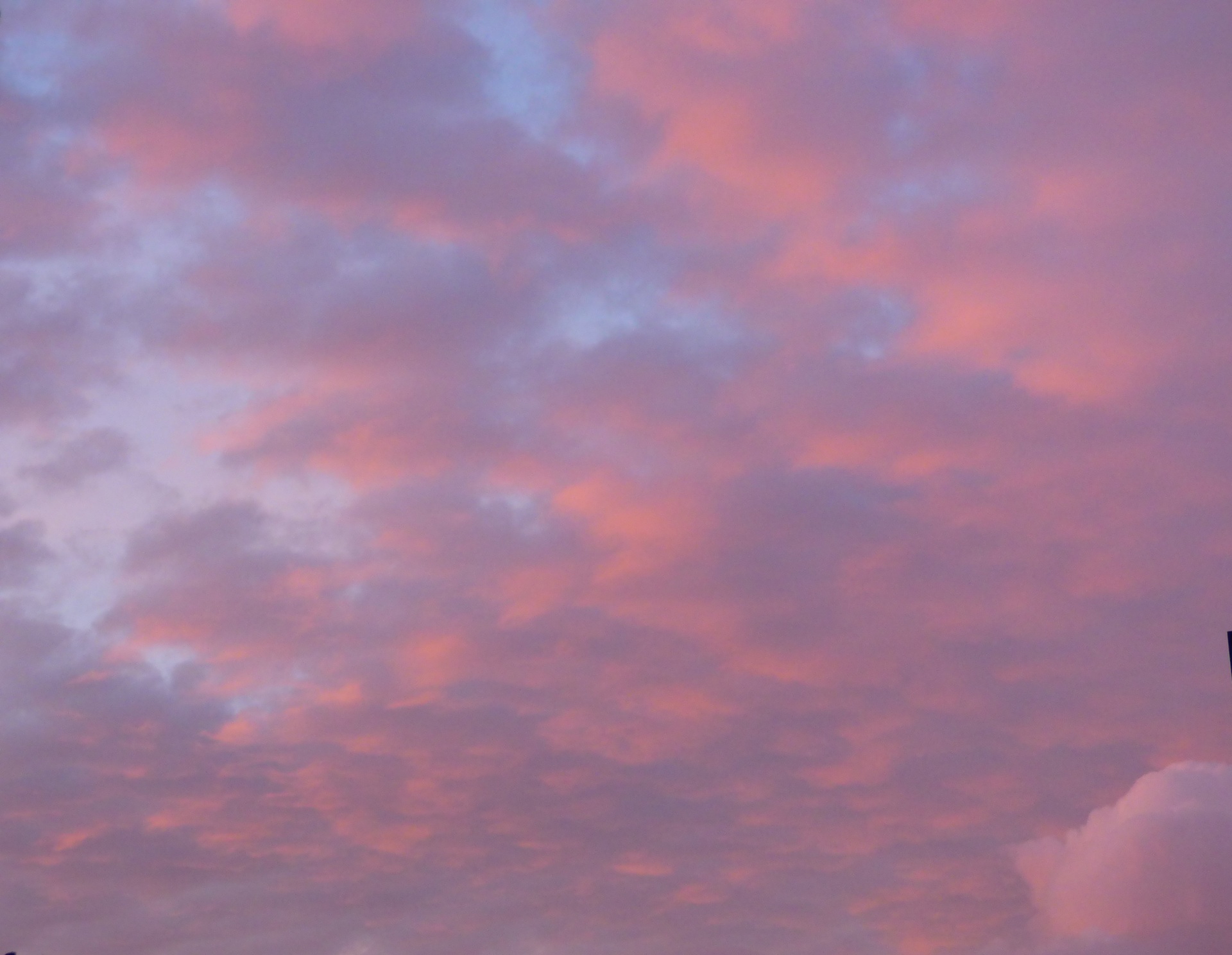 sky clouds bleak free photo