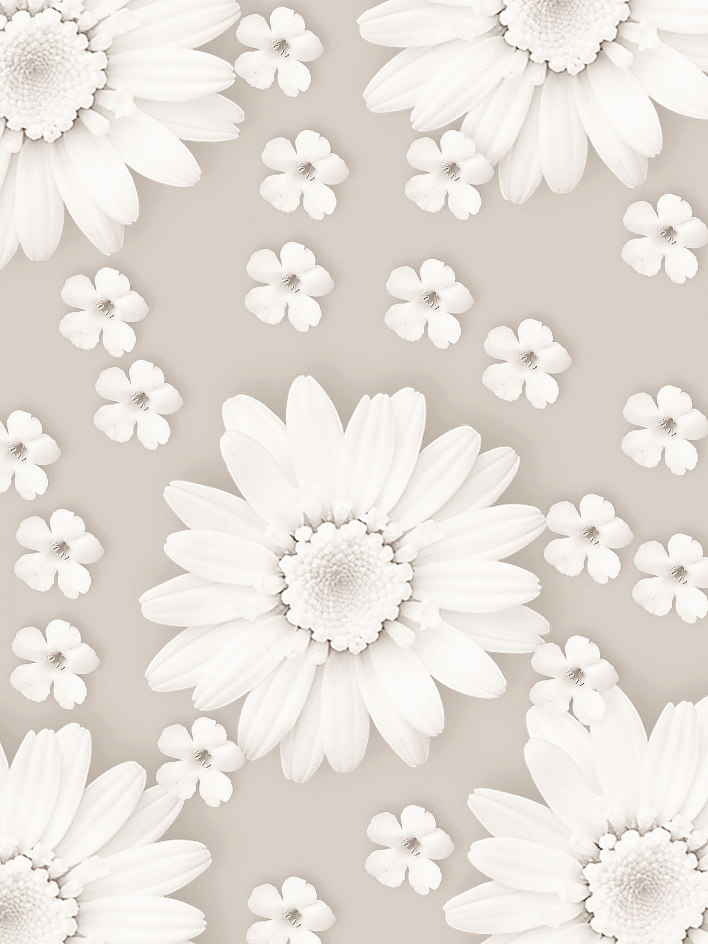 background flowers stationery free photo