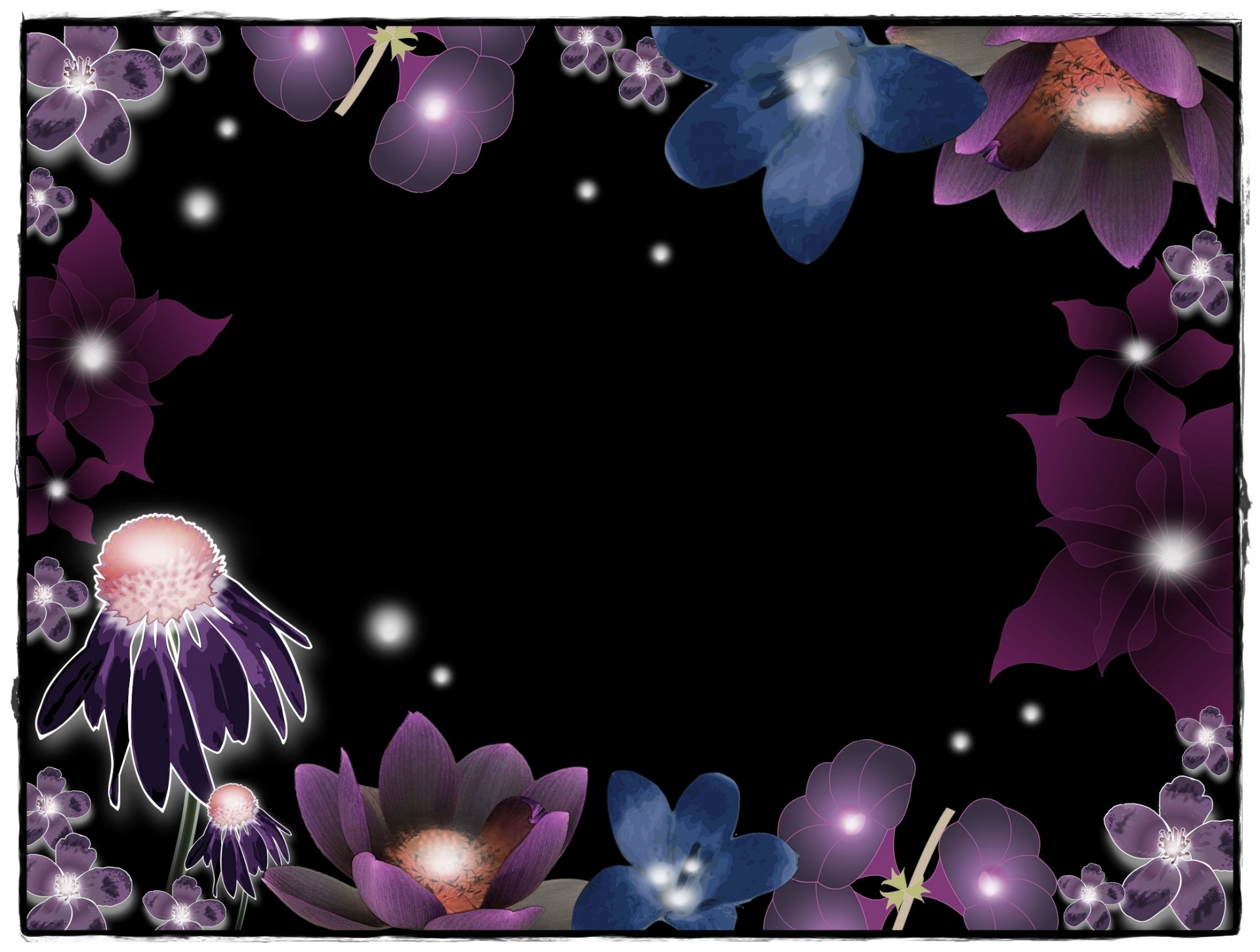 background flowers night free photo