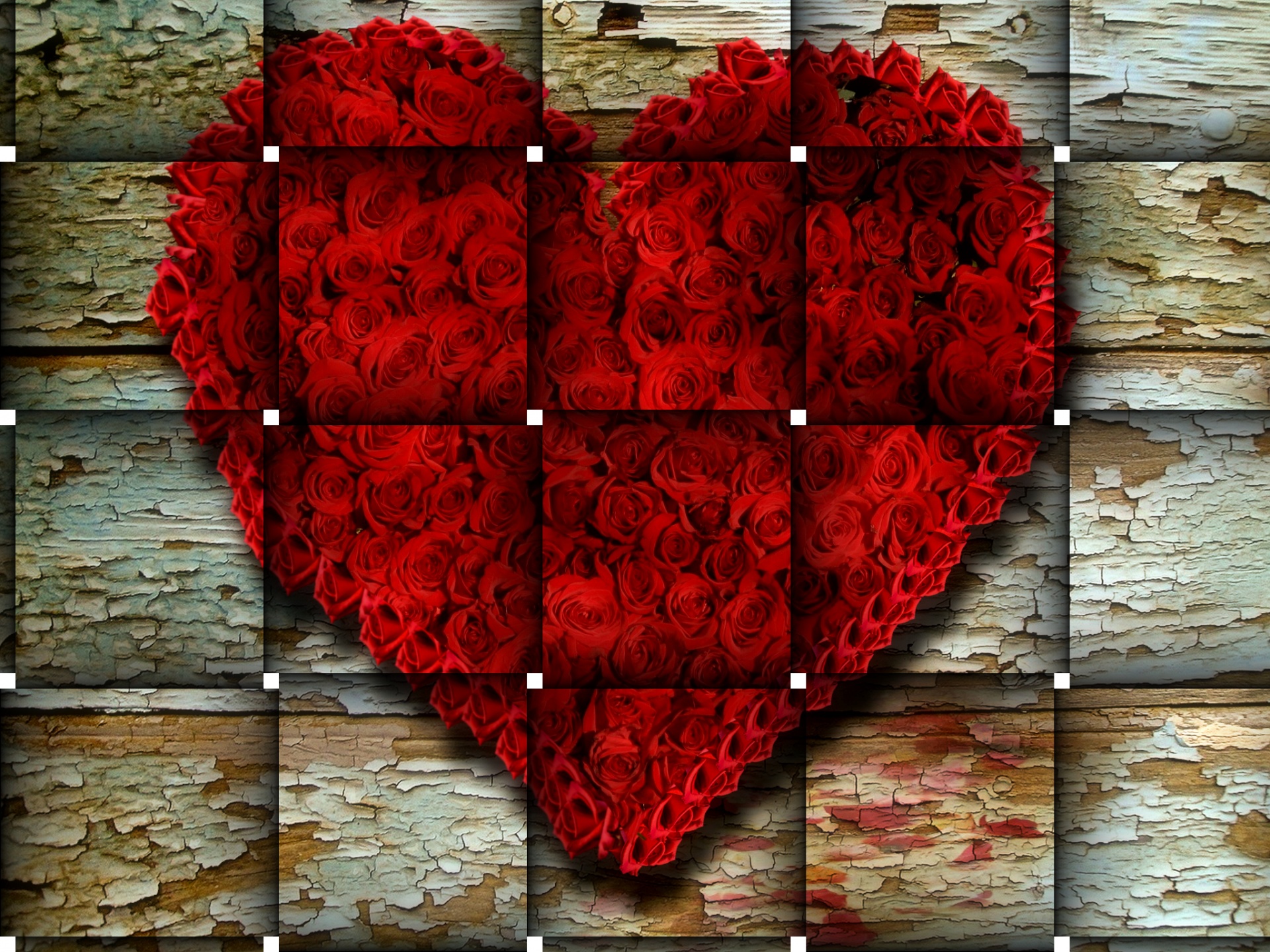 tiles roses background free photo