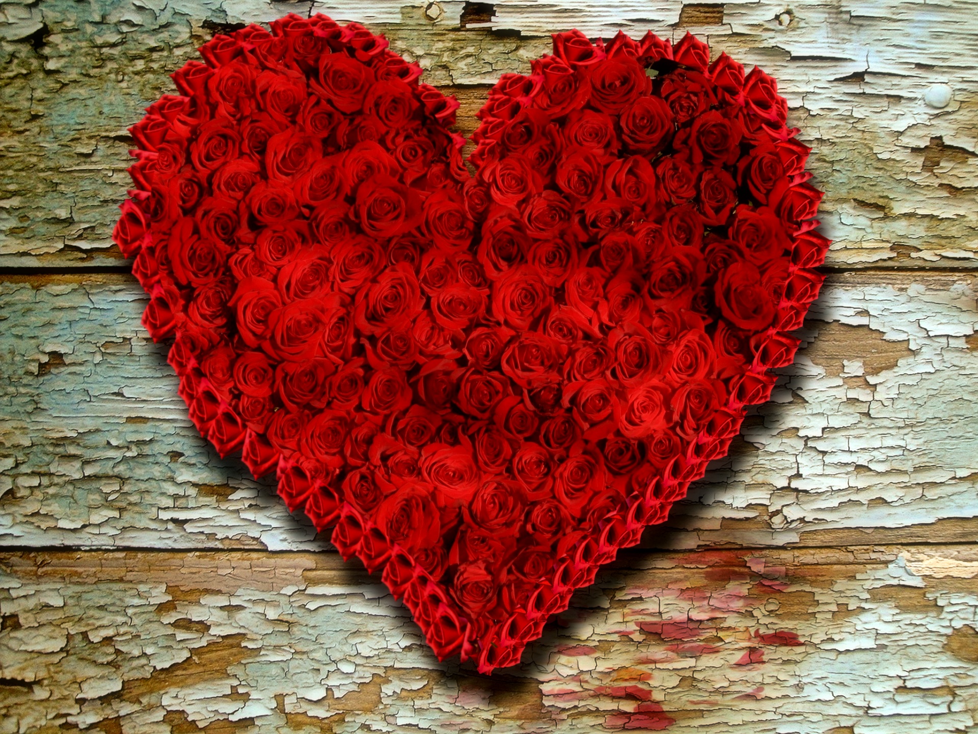 wood roses background valentine's day free photo