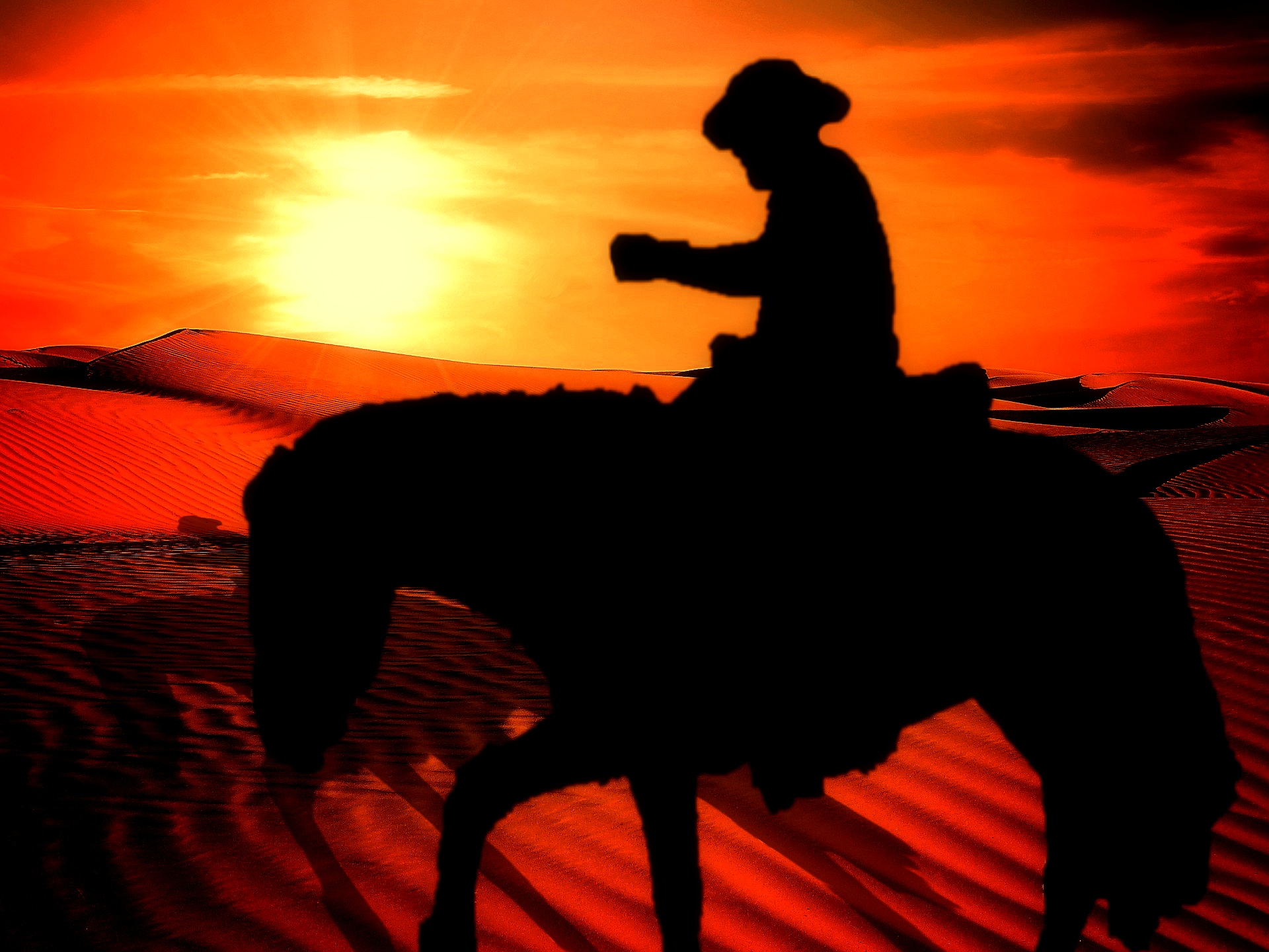 cowboy horse western free photo