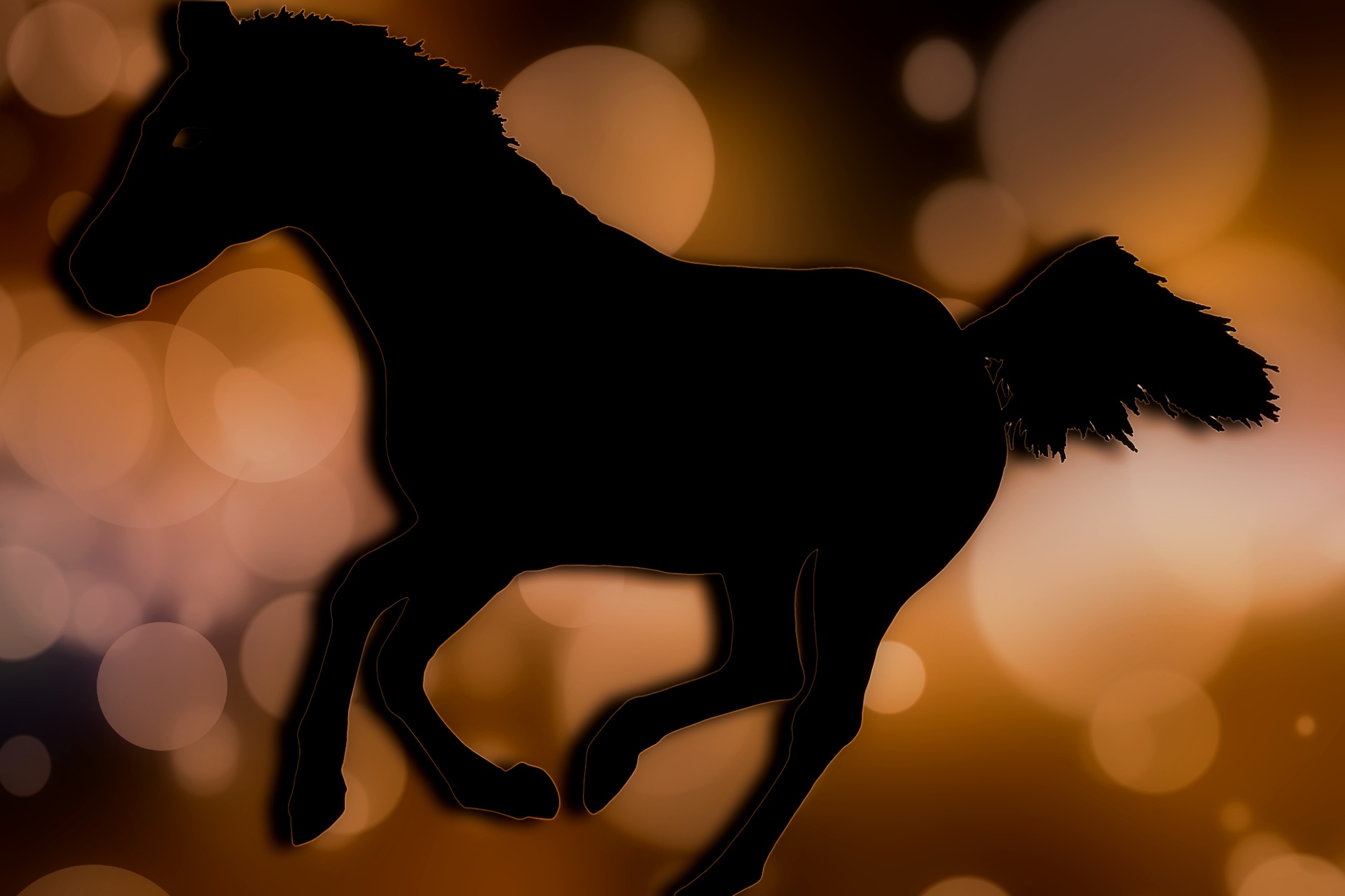 horse bokeh silhouette free photo