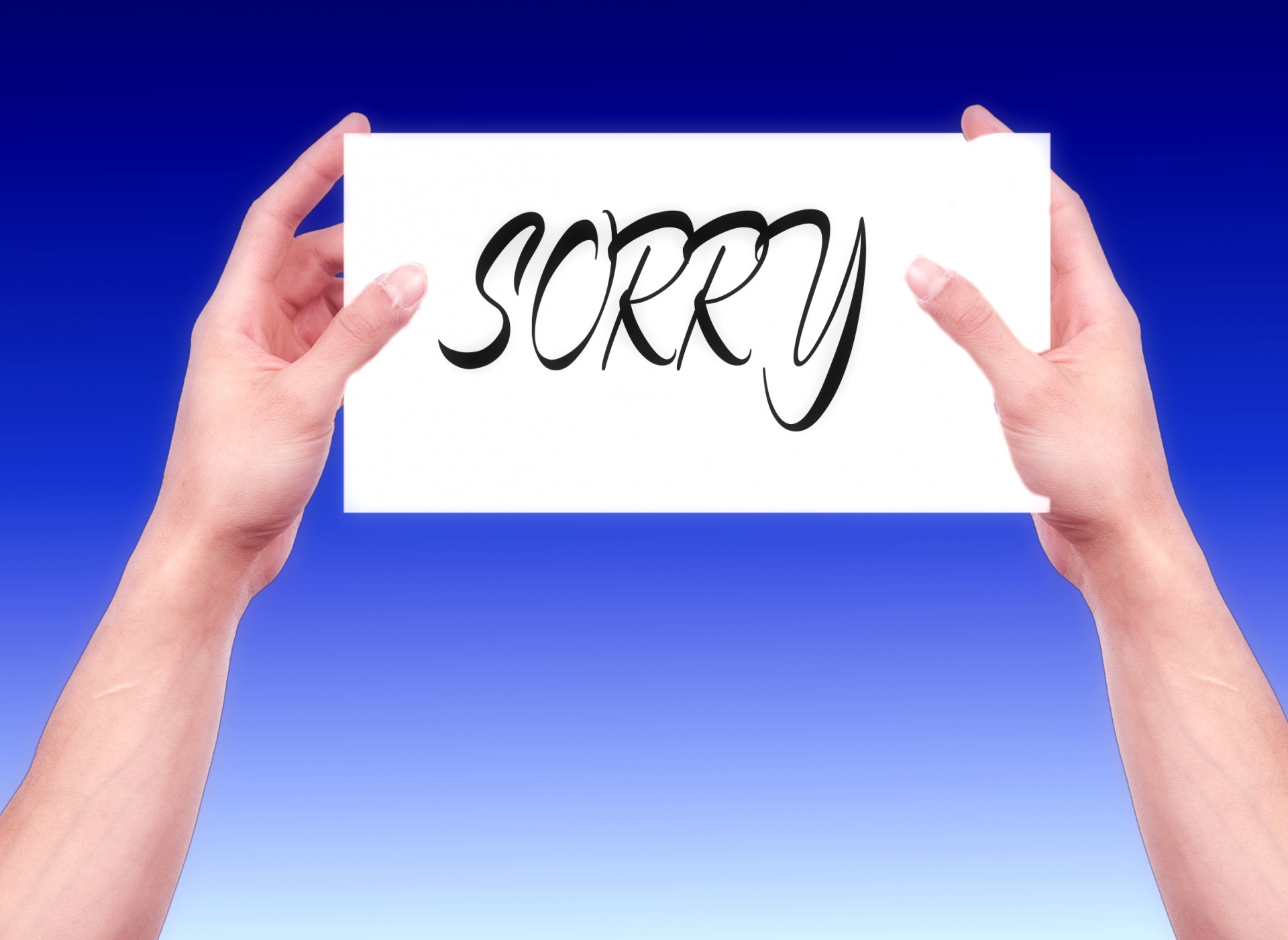 apology apologize apologize sayings free photo