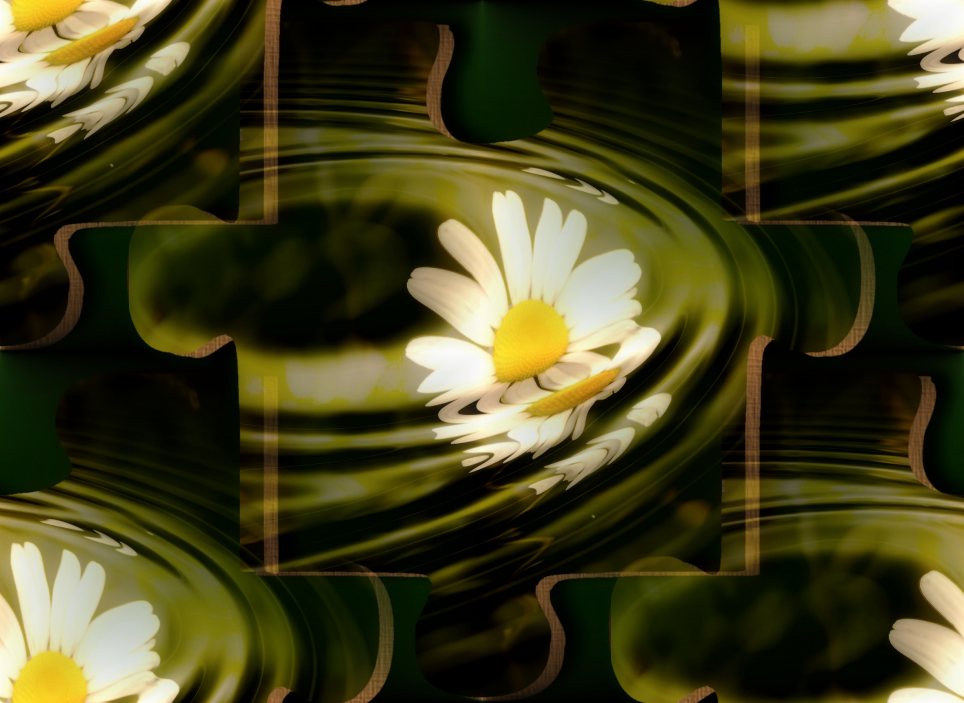 daisy puzzle flower free photo