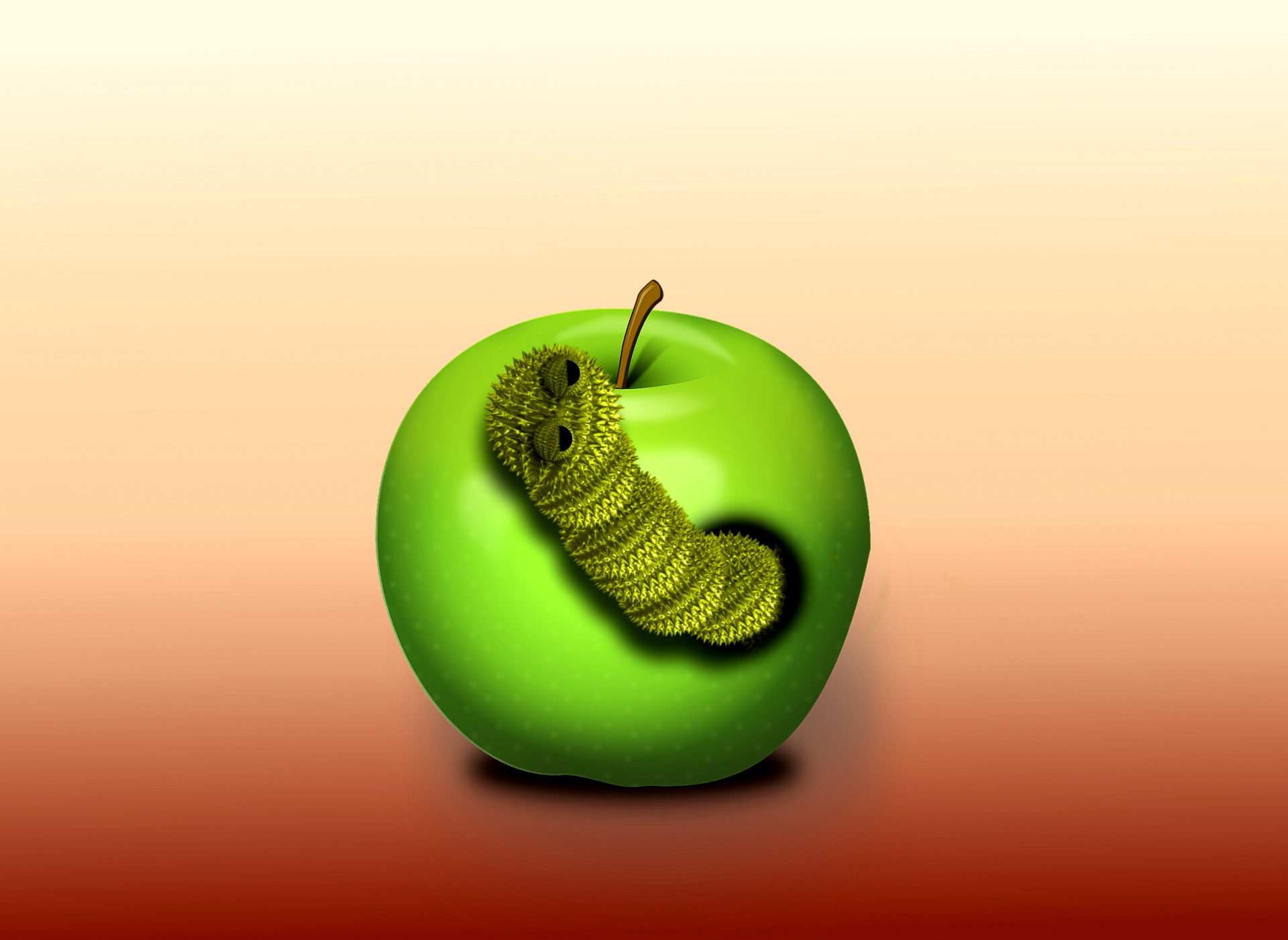 apple worm infestation free photo