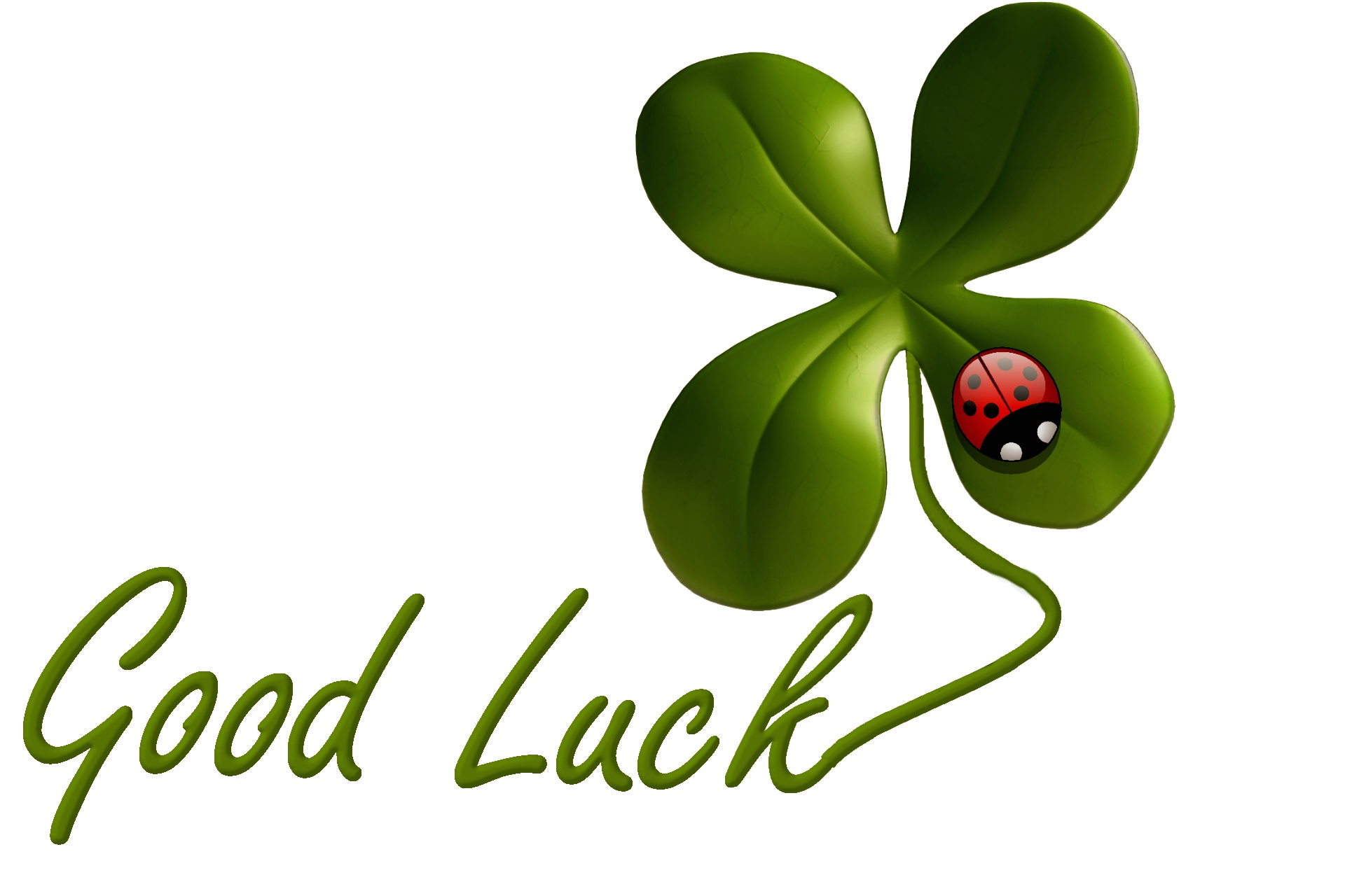 Download free photo of Luck,happiness,pleasant,effective,healthy - from  