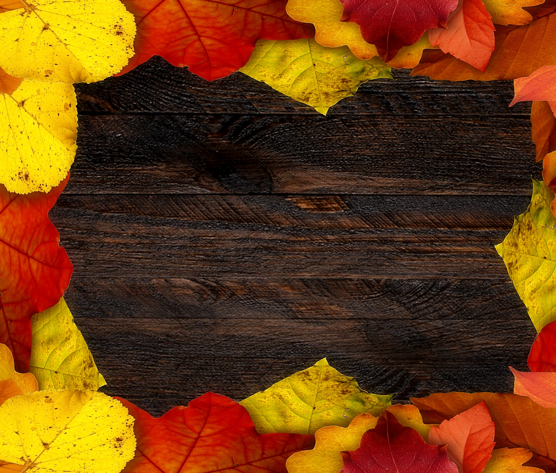 autumn banner poster free photo