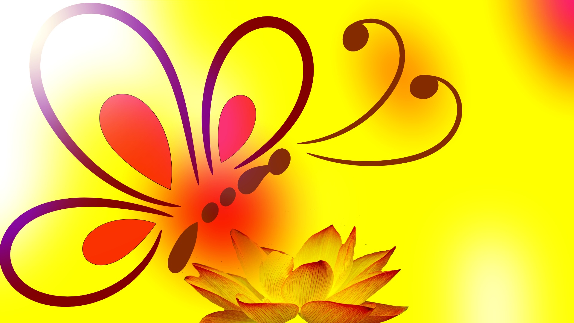 butterfly background flower free photo