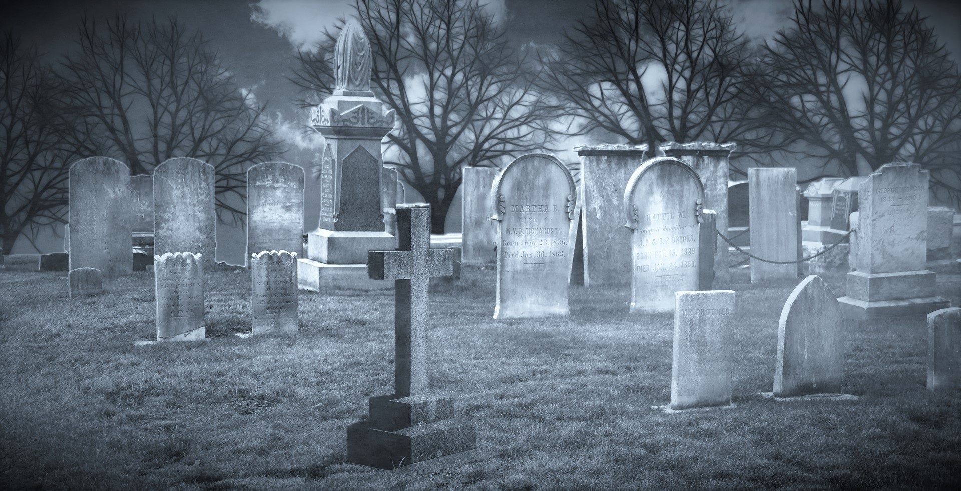 cemetery tree grave free photo