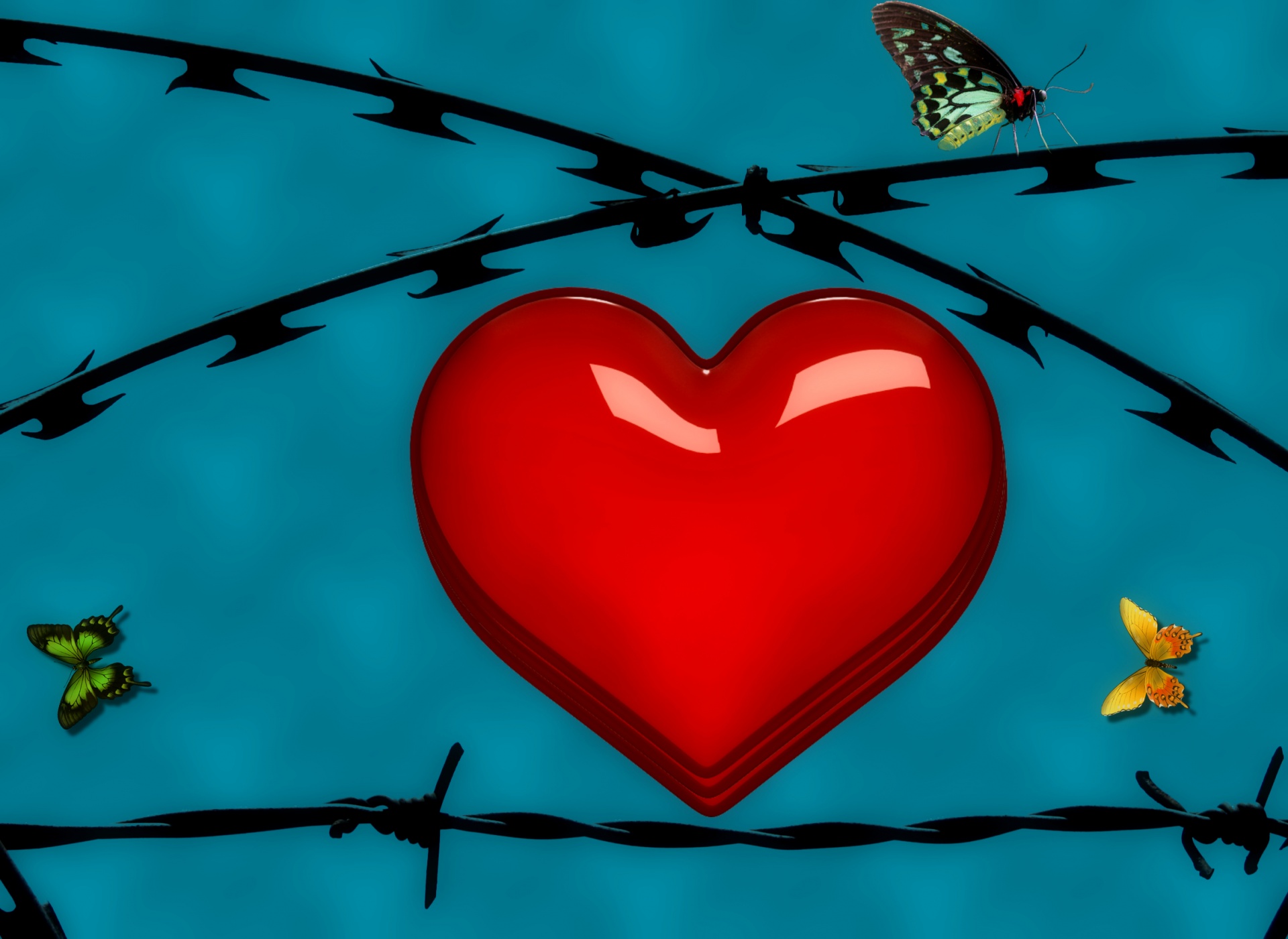 heart butterfly barbed free photo