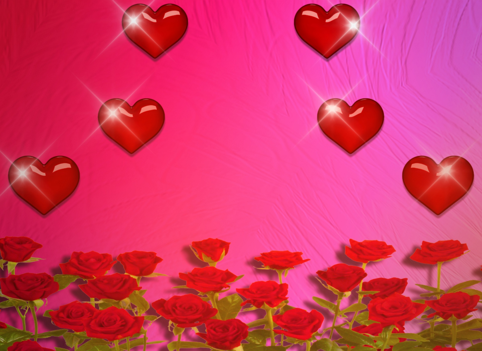 heart rose background free photo