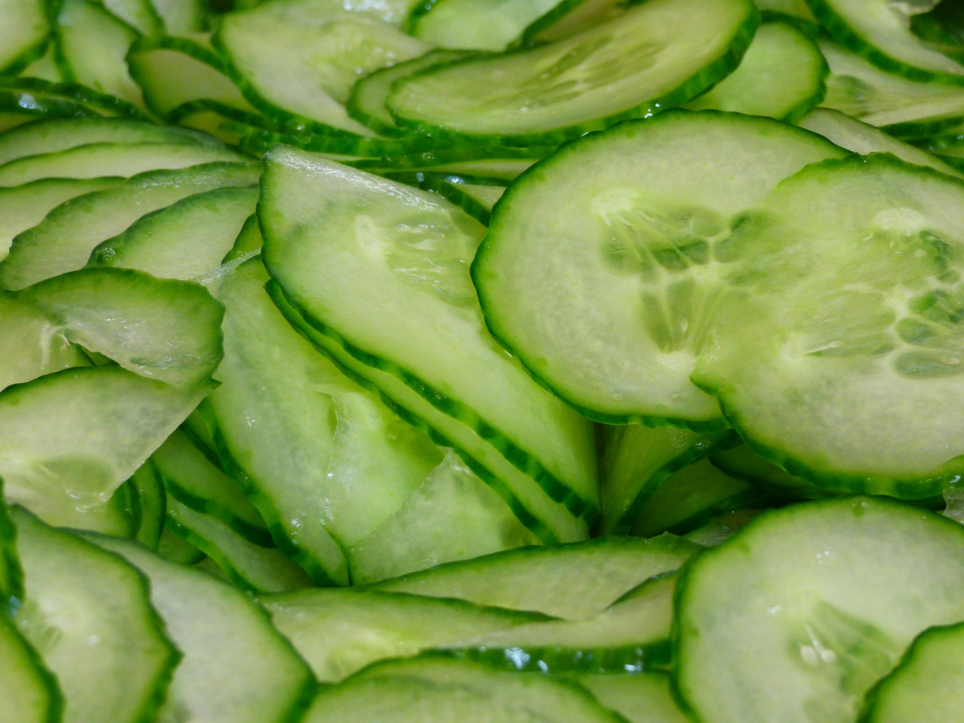 cucumber slices salad free photo