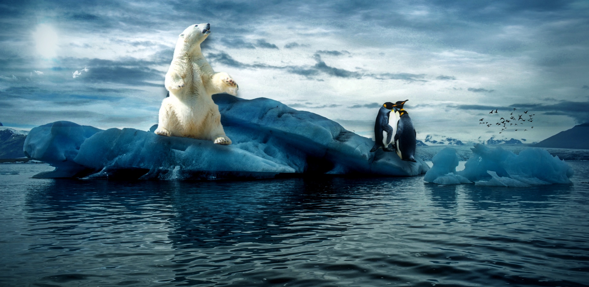 arctic iceberg glacier free photo