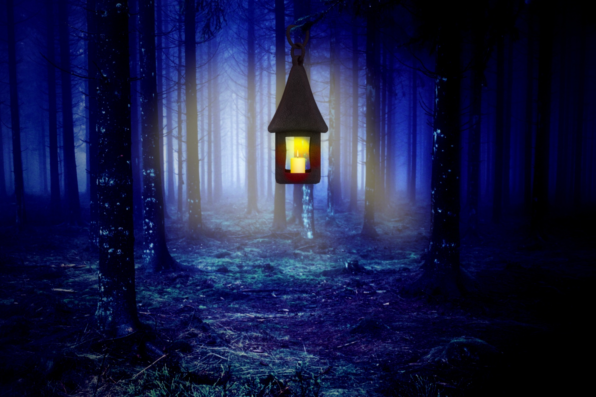 night forest lamp free photo