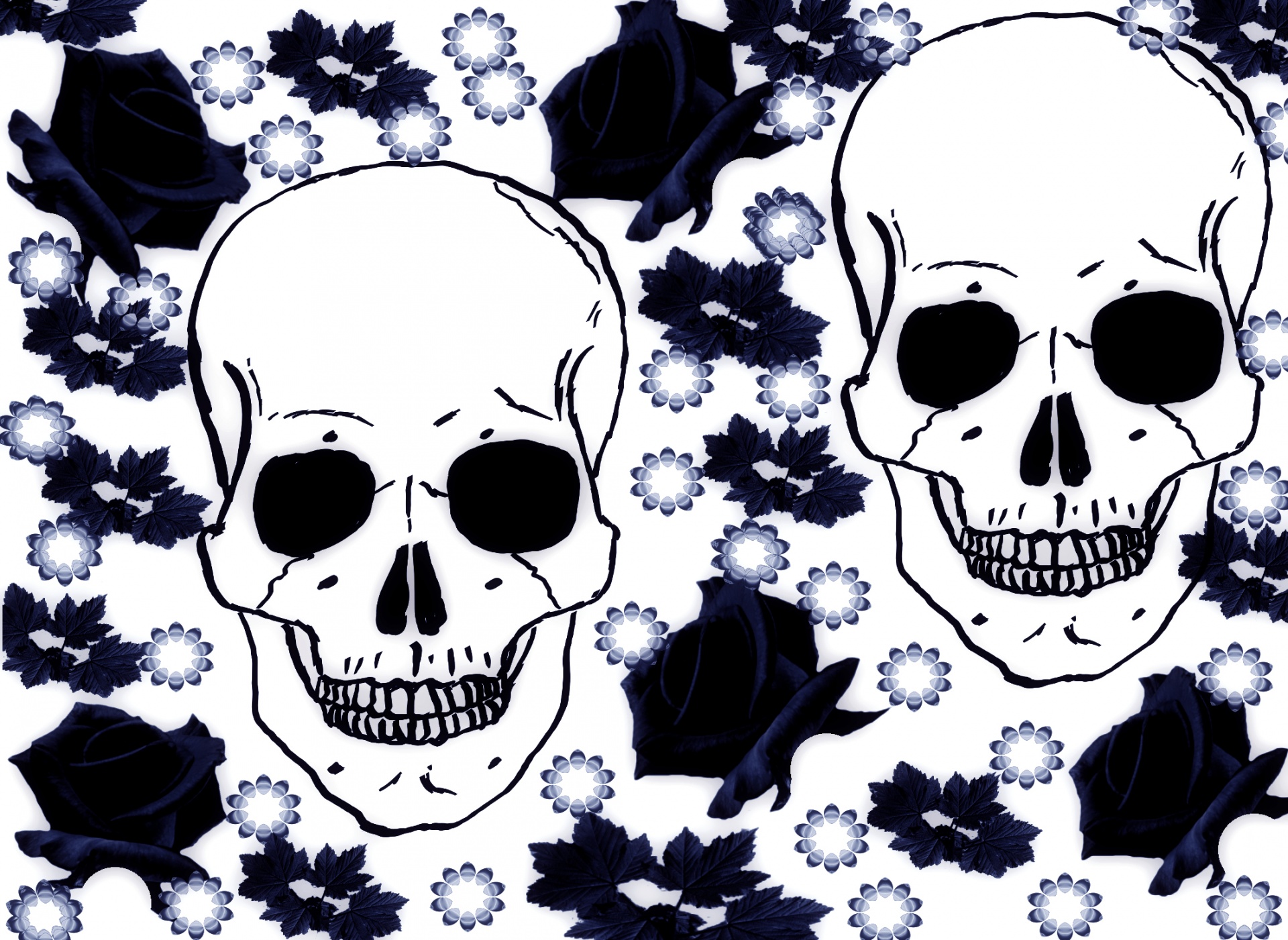 skull banner header free photo