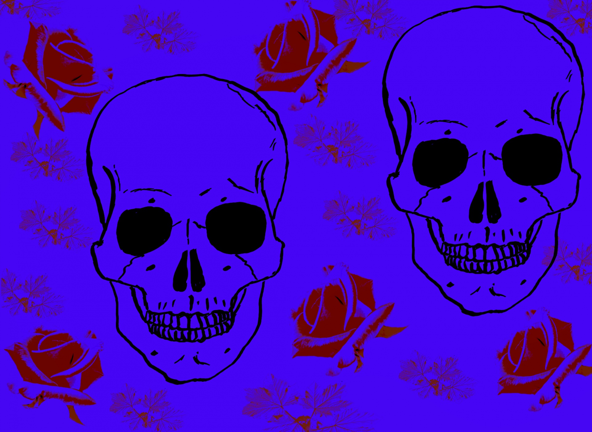 skull banner header free photo