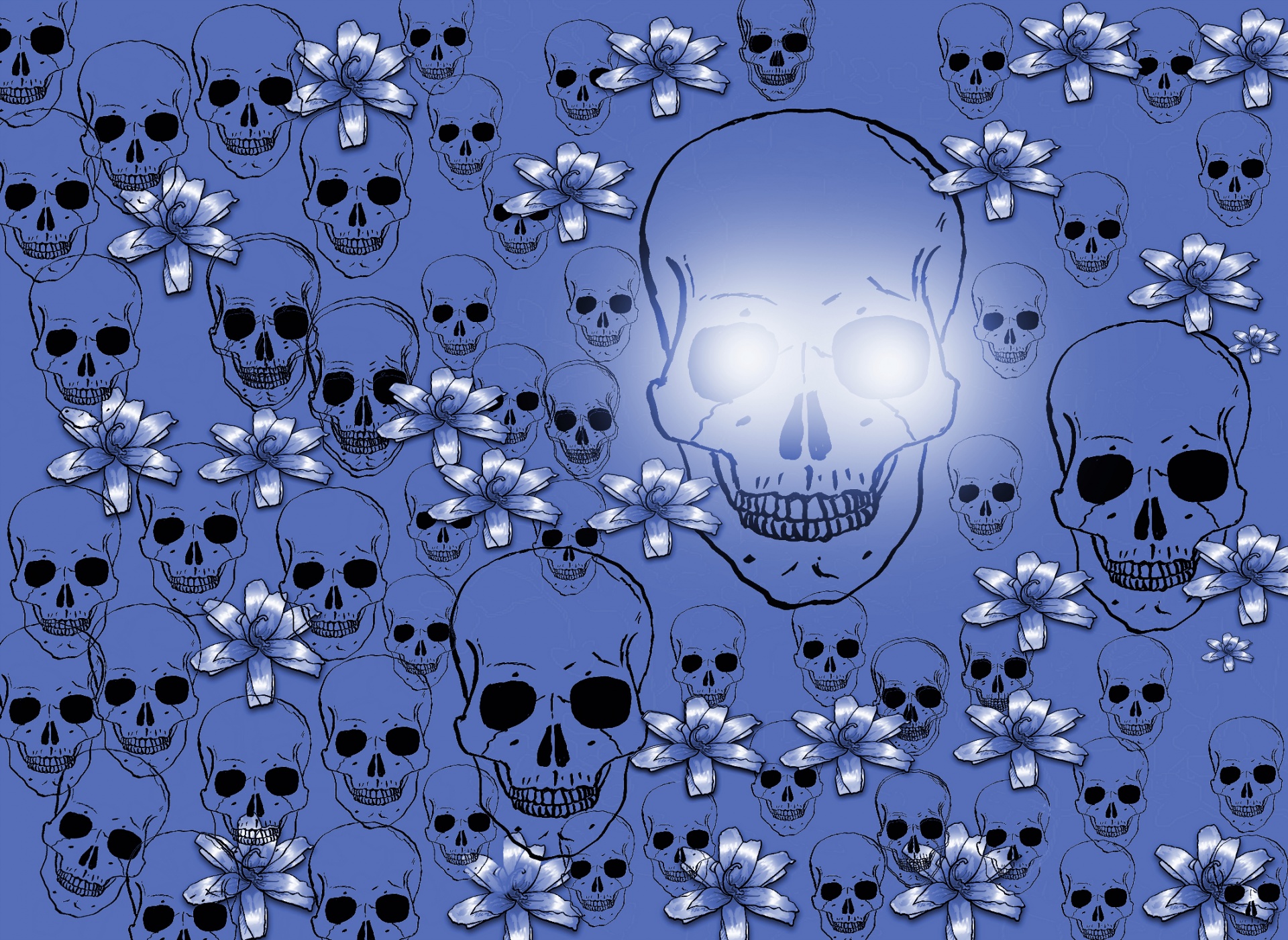 skull banner header free photo