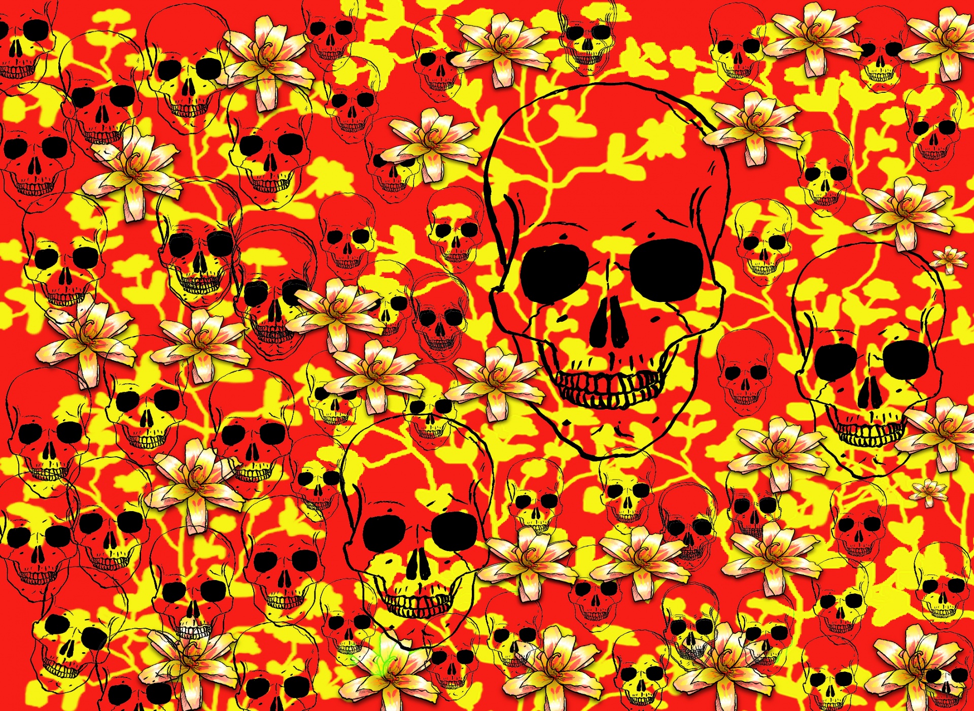 skull banner header free photo