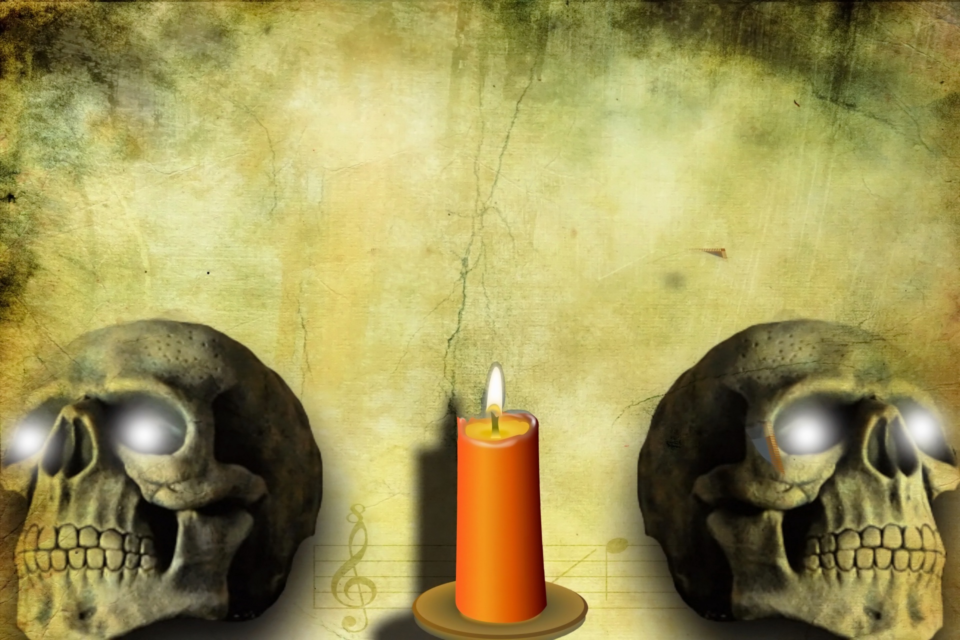 skull banner header free photo