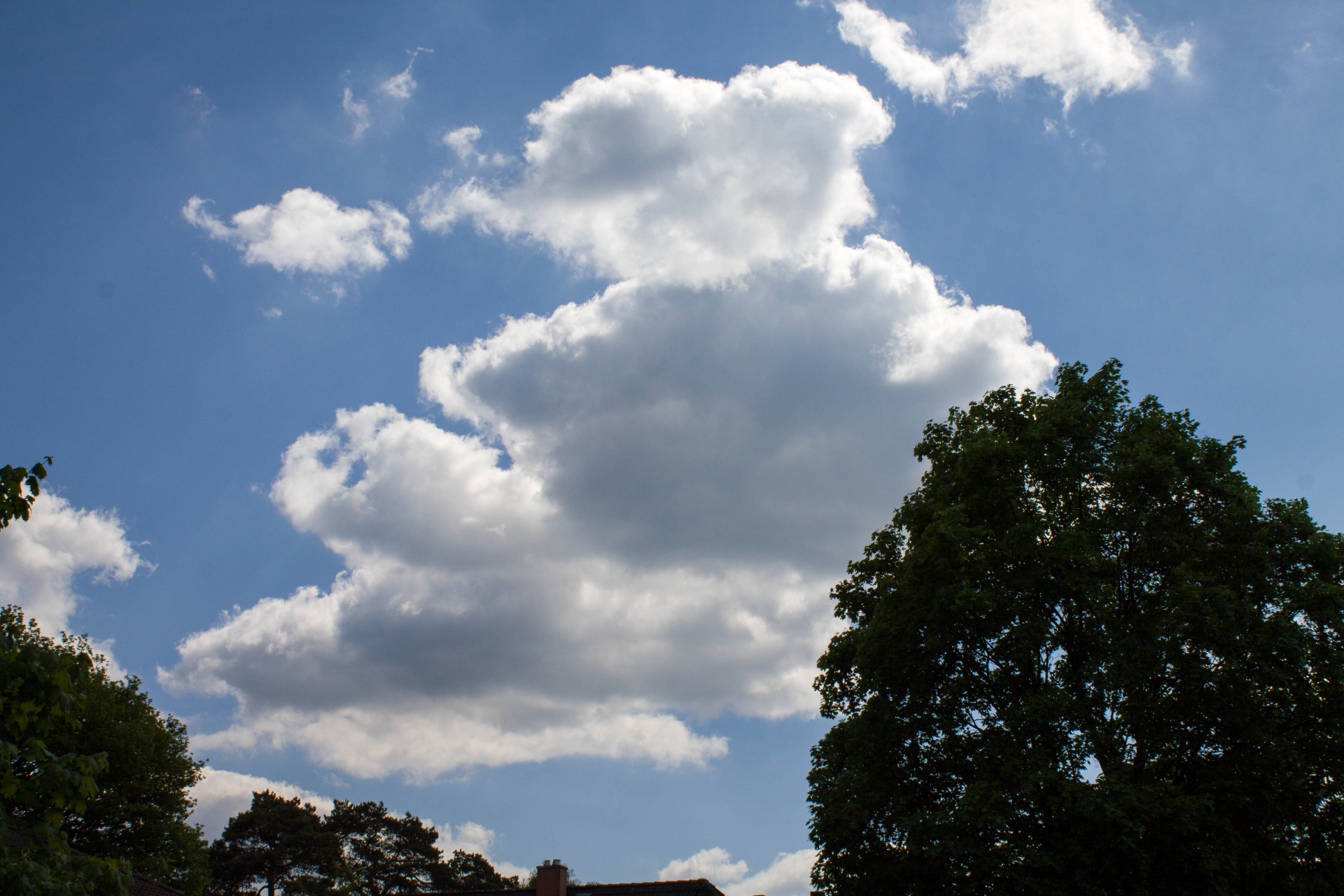 clouds blue form free photo