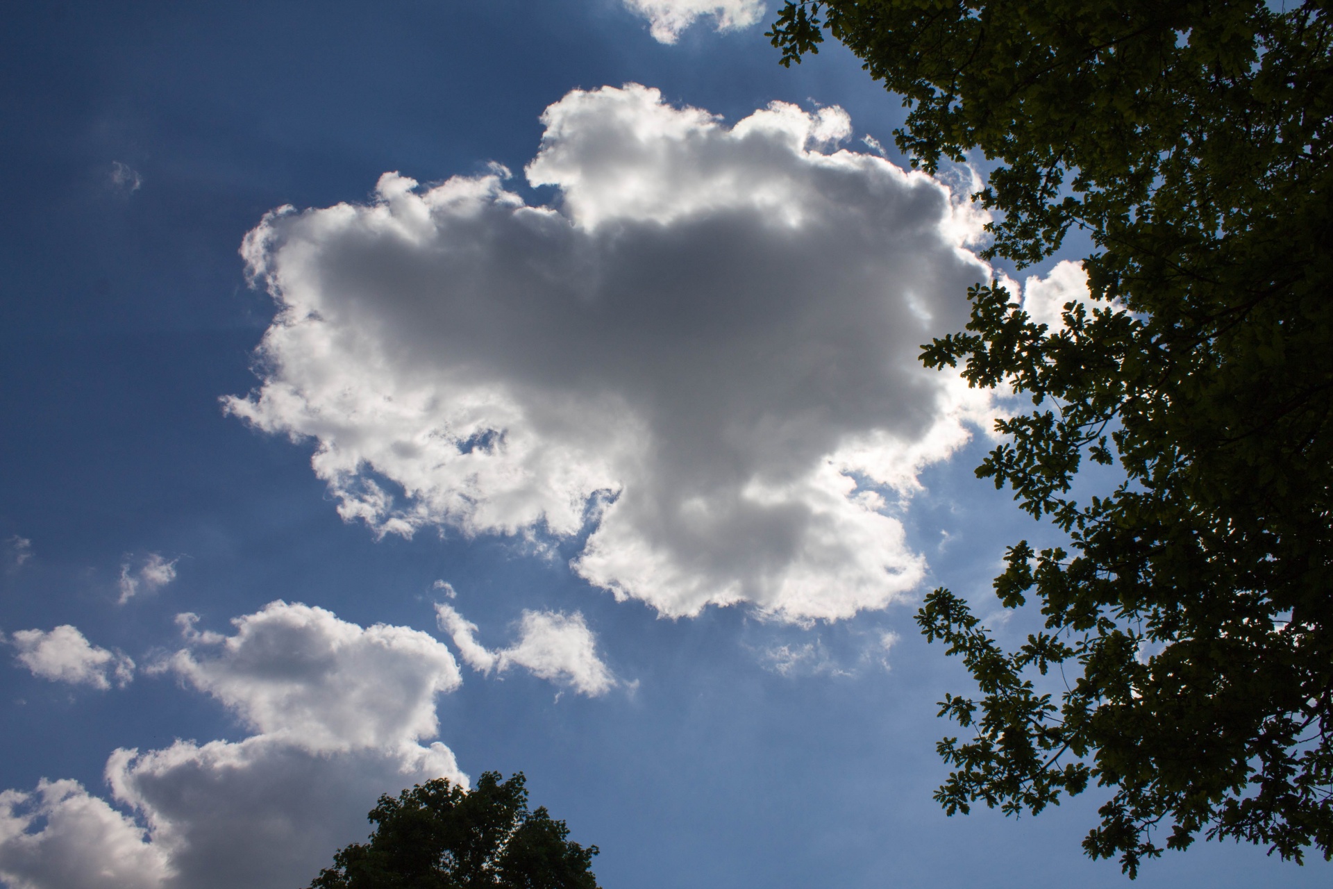 clouds blue form free photo