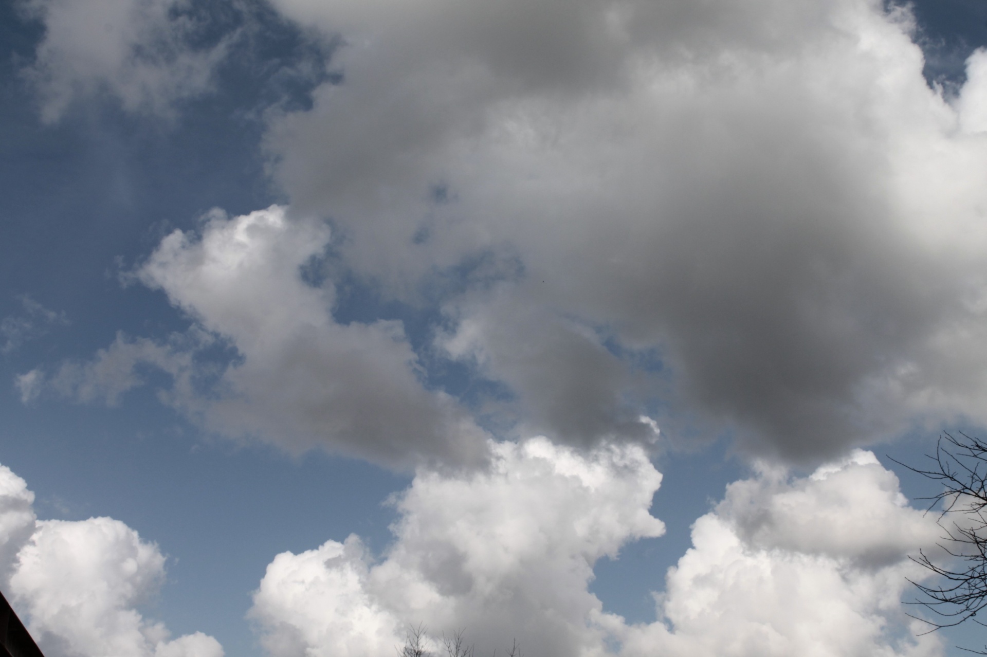 clouds blue form free photo