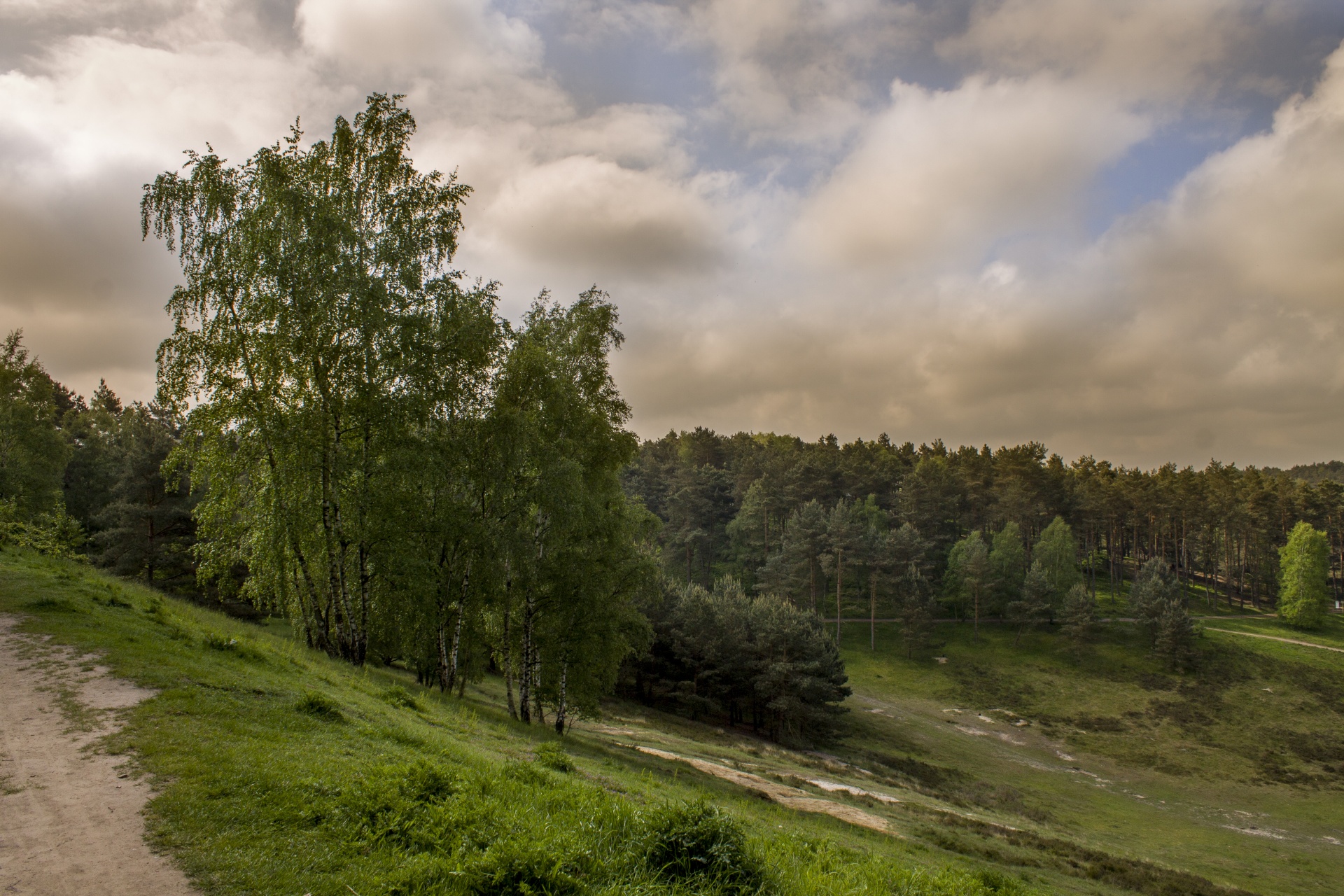 landscape season sun free photo