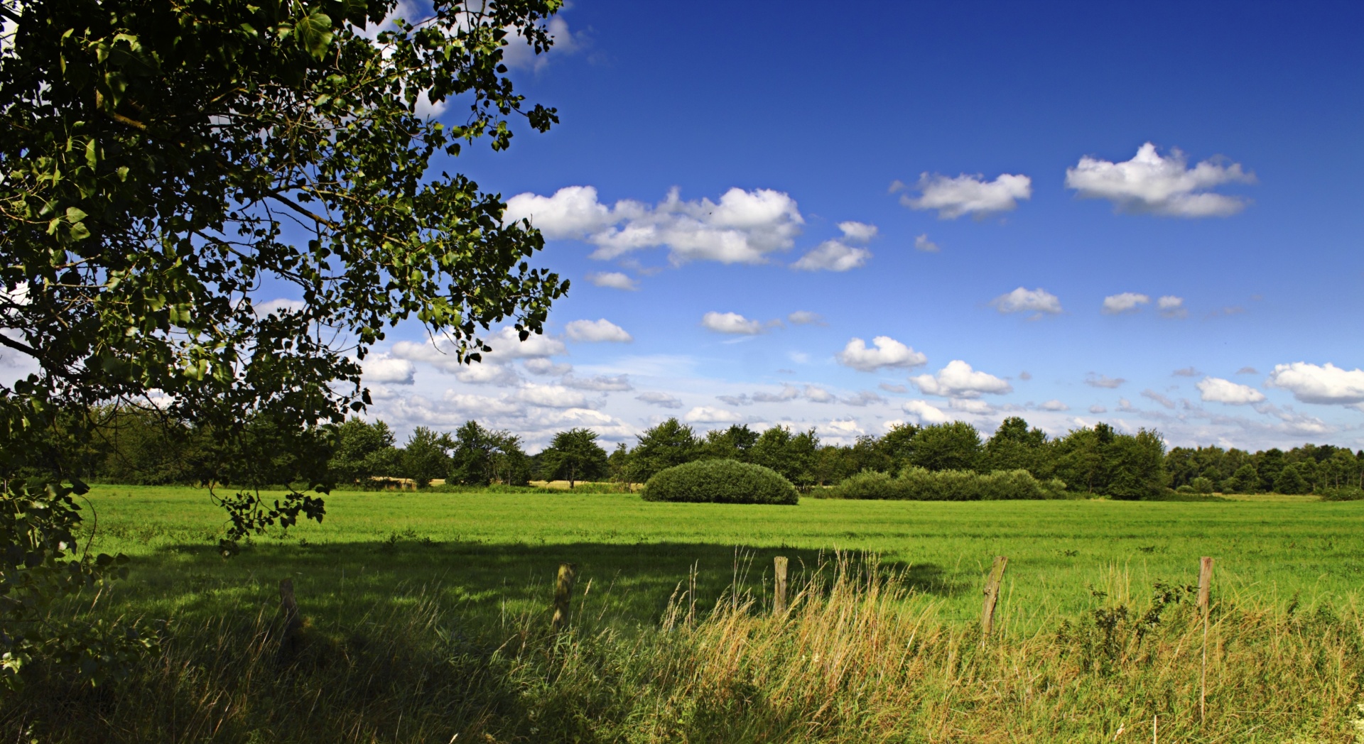 landscape season sun free photo