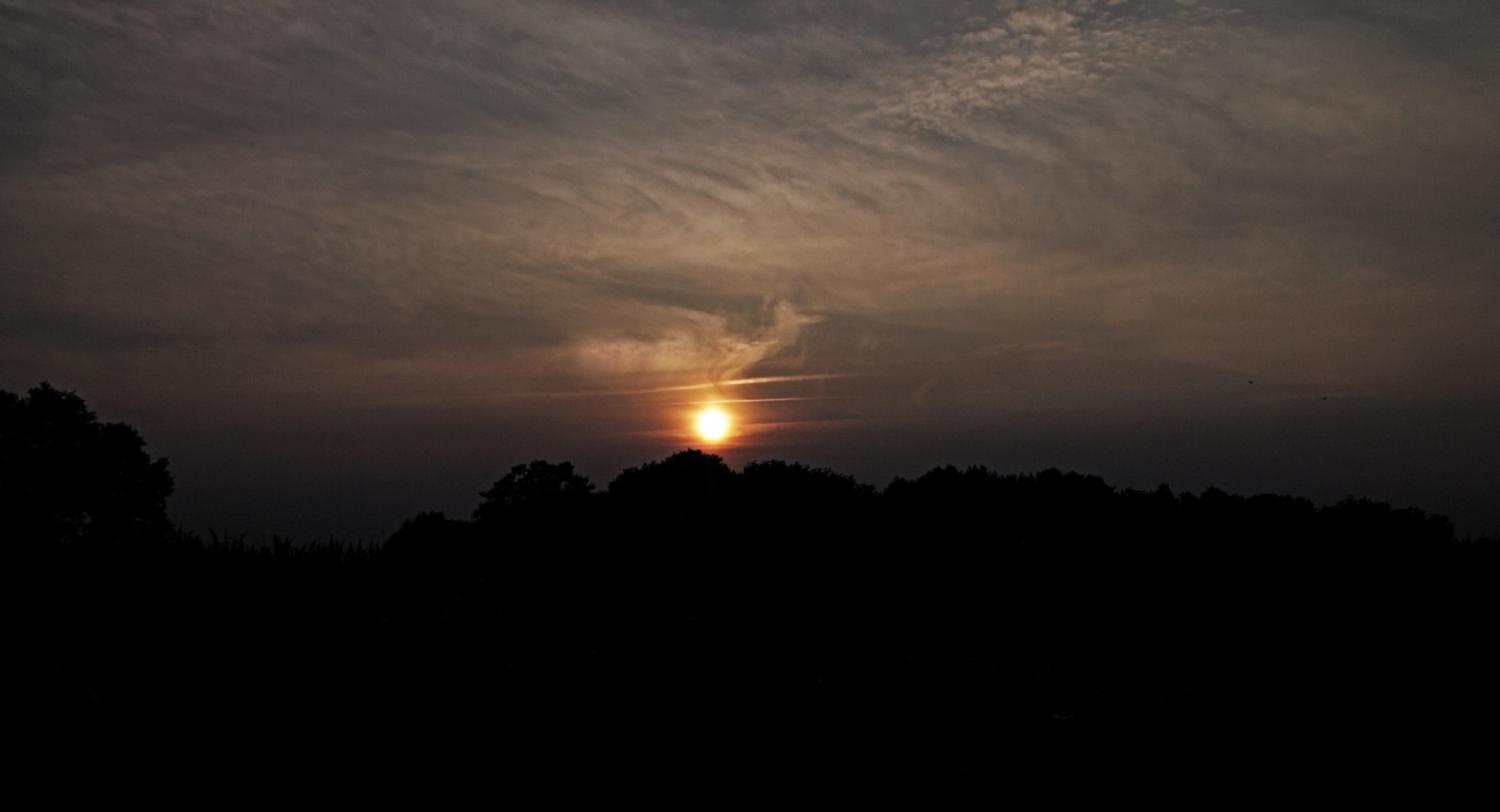 sunset clouds sky free photo