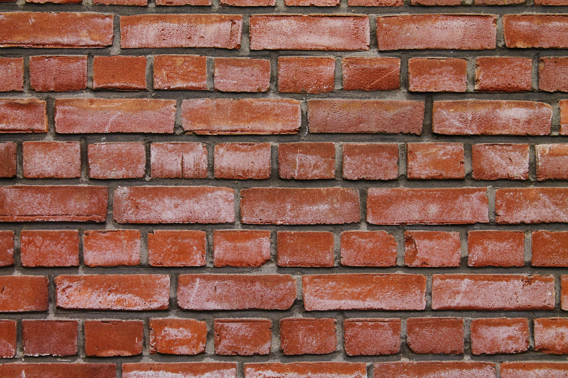 brick wall red free photo