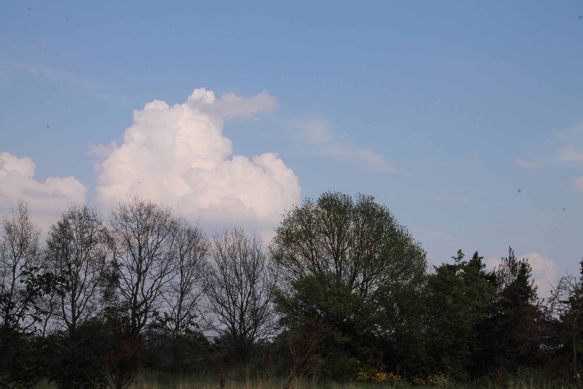 clouds blue form free photo