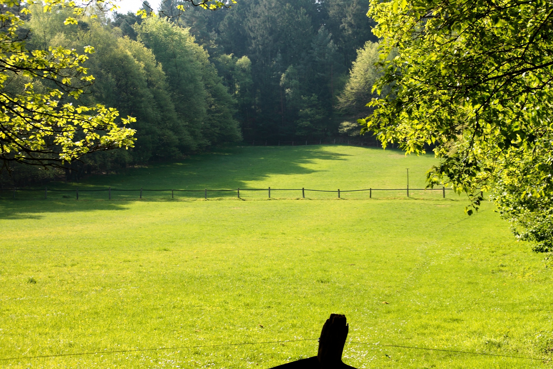 meadow lawn landscape free photo