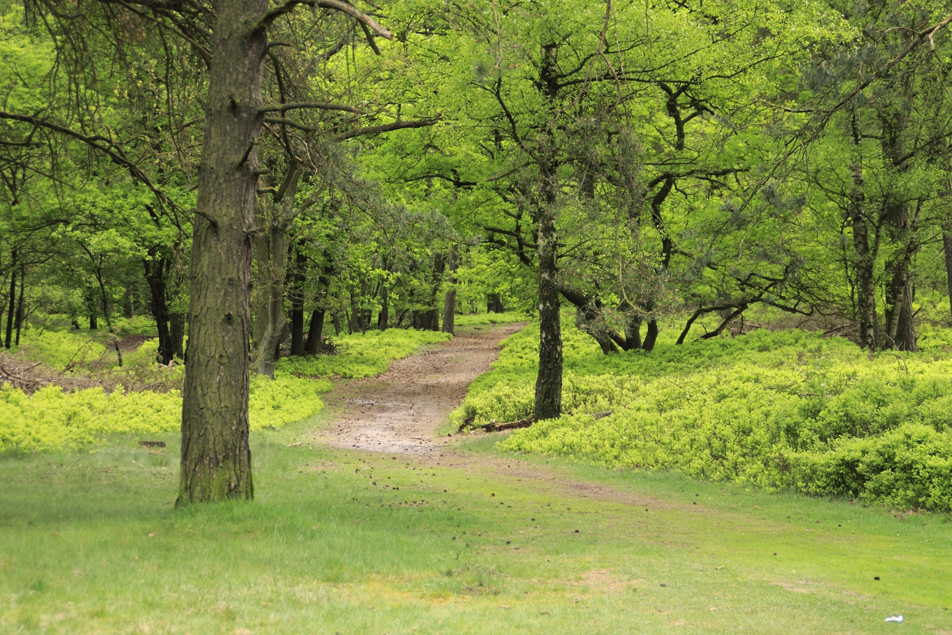 landscape season sun free photo