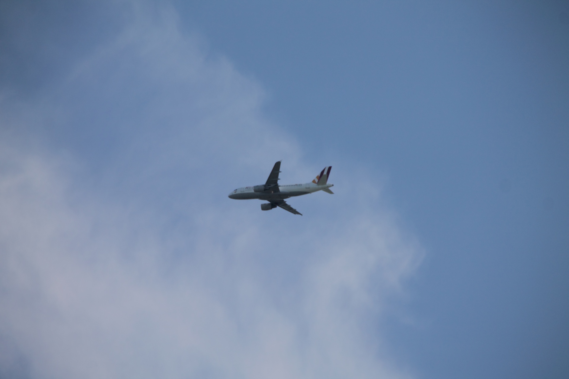 airplane sky flying free photo