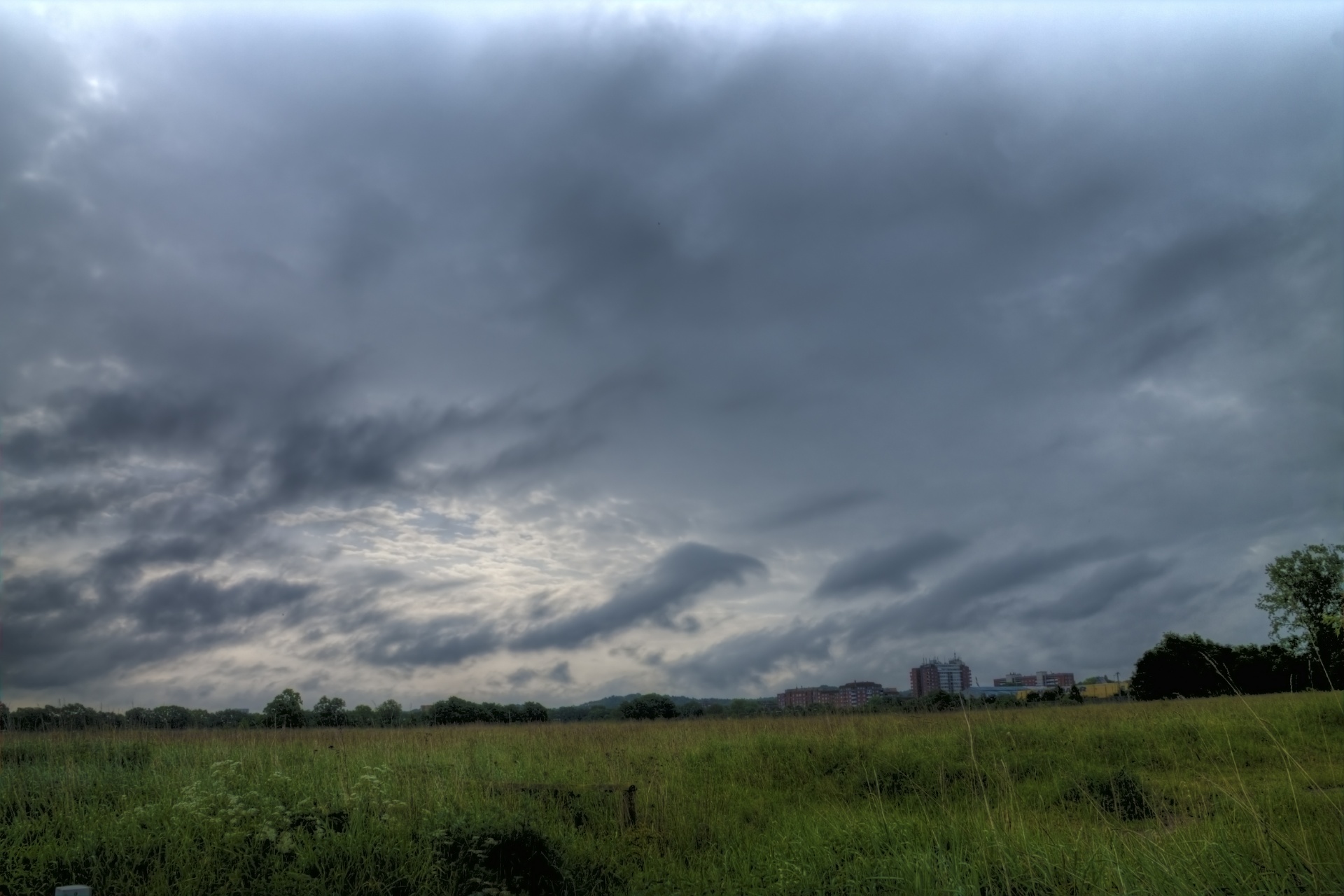 sky plant clouds free photo