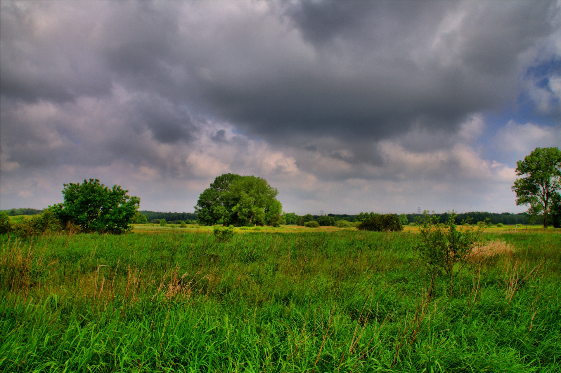 landscape season sun free photo