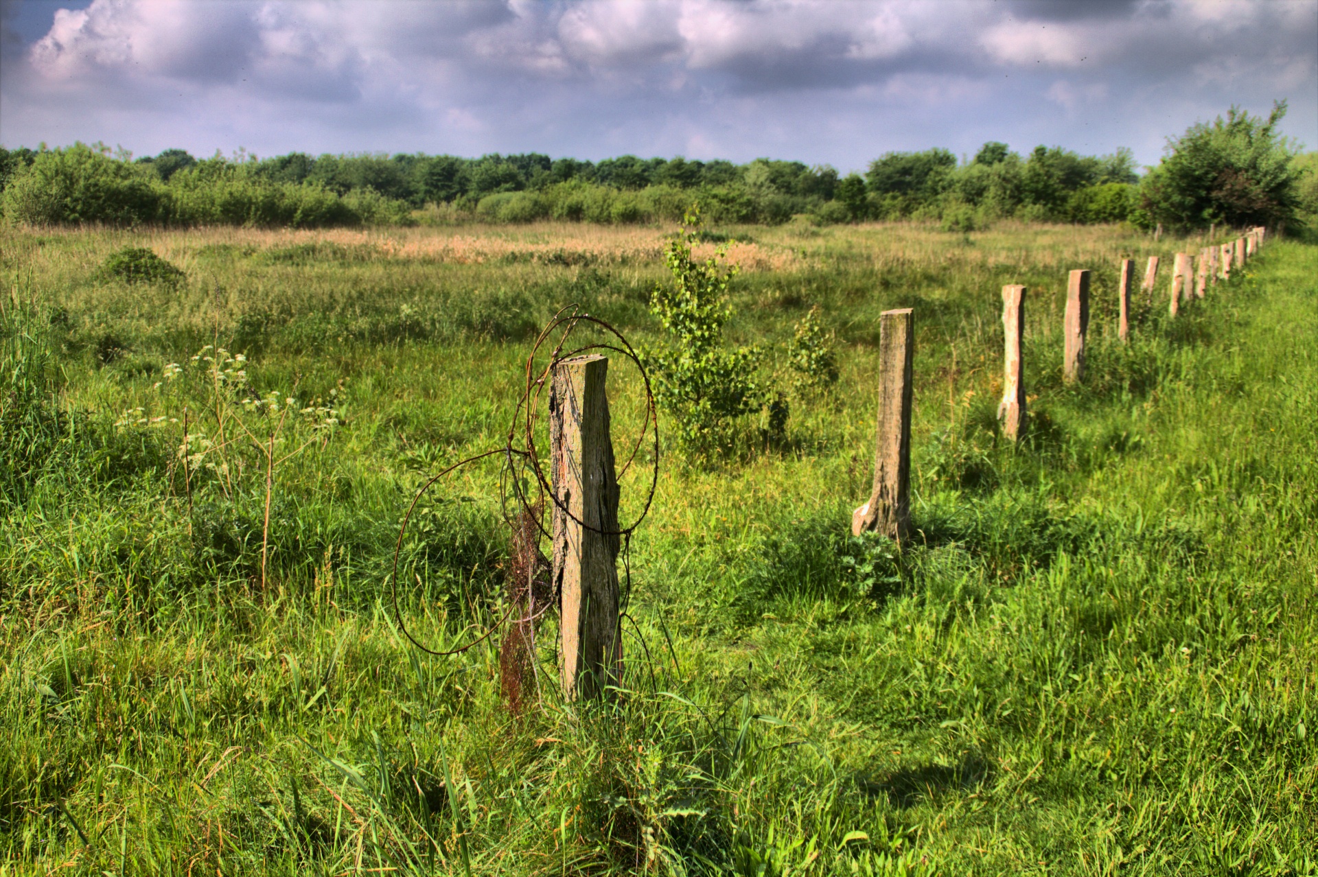 landscape season sun free photo