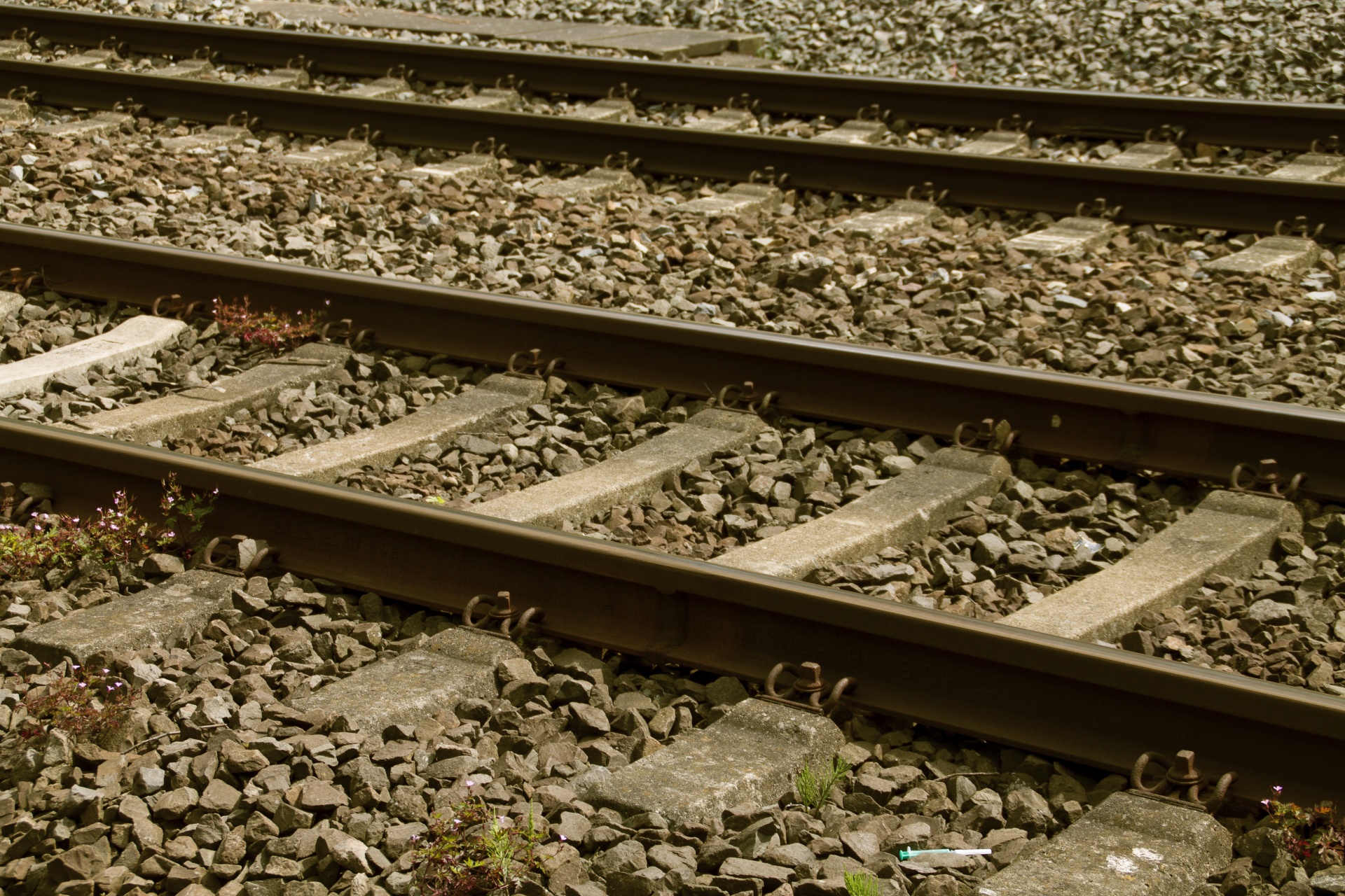 railroad tracks rails free photo