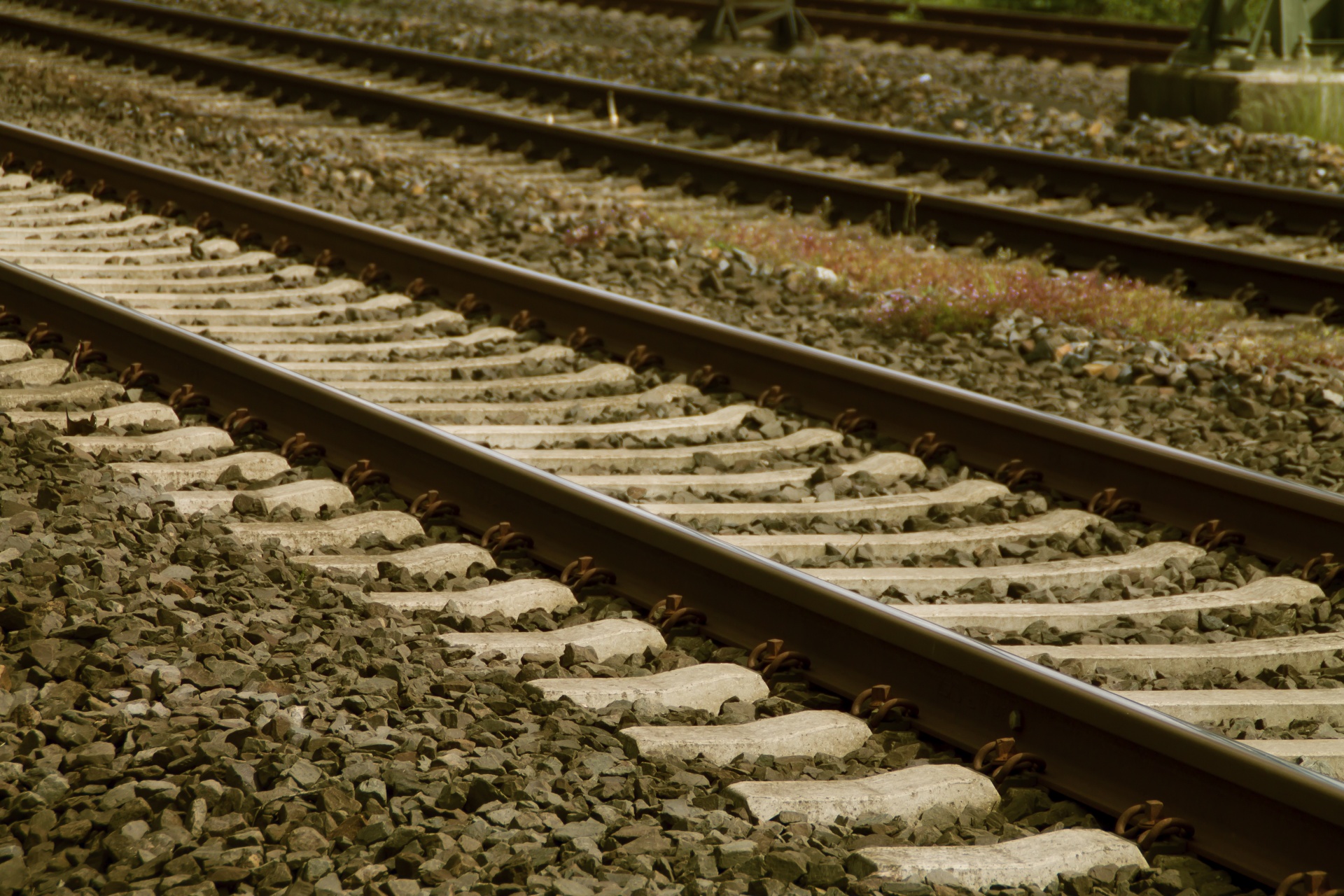 railroad tracks rails free photo