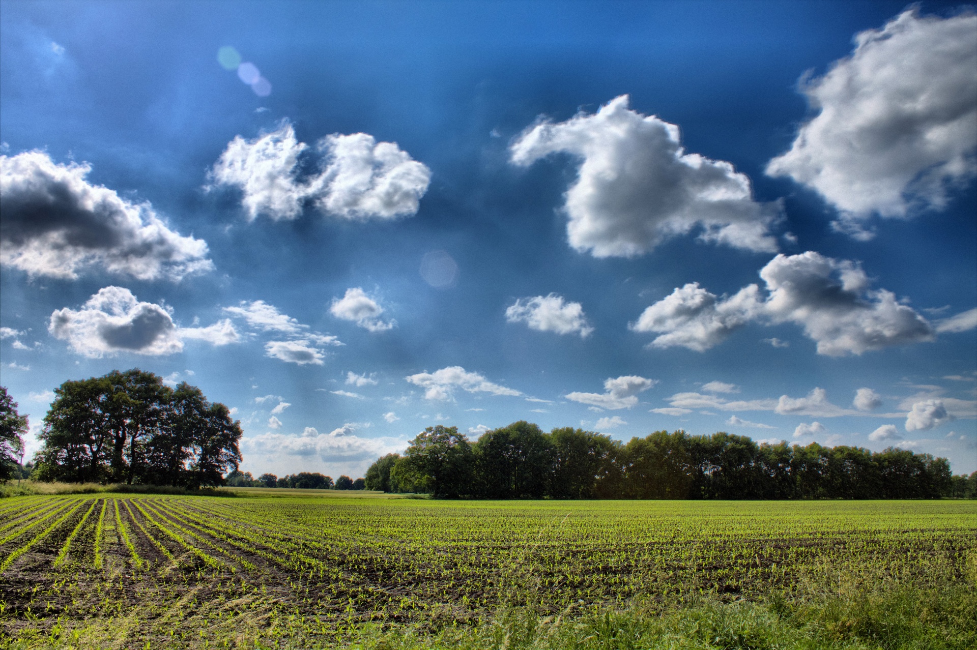 clouds blue form free photo