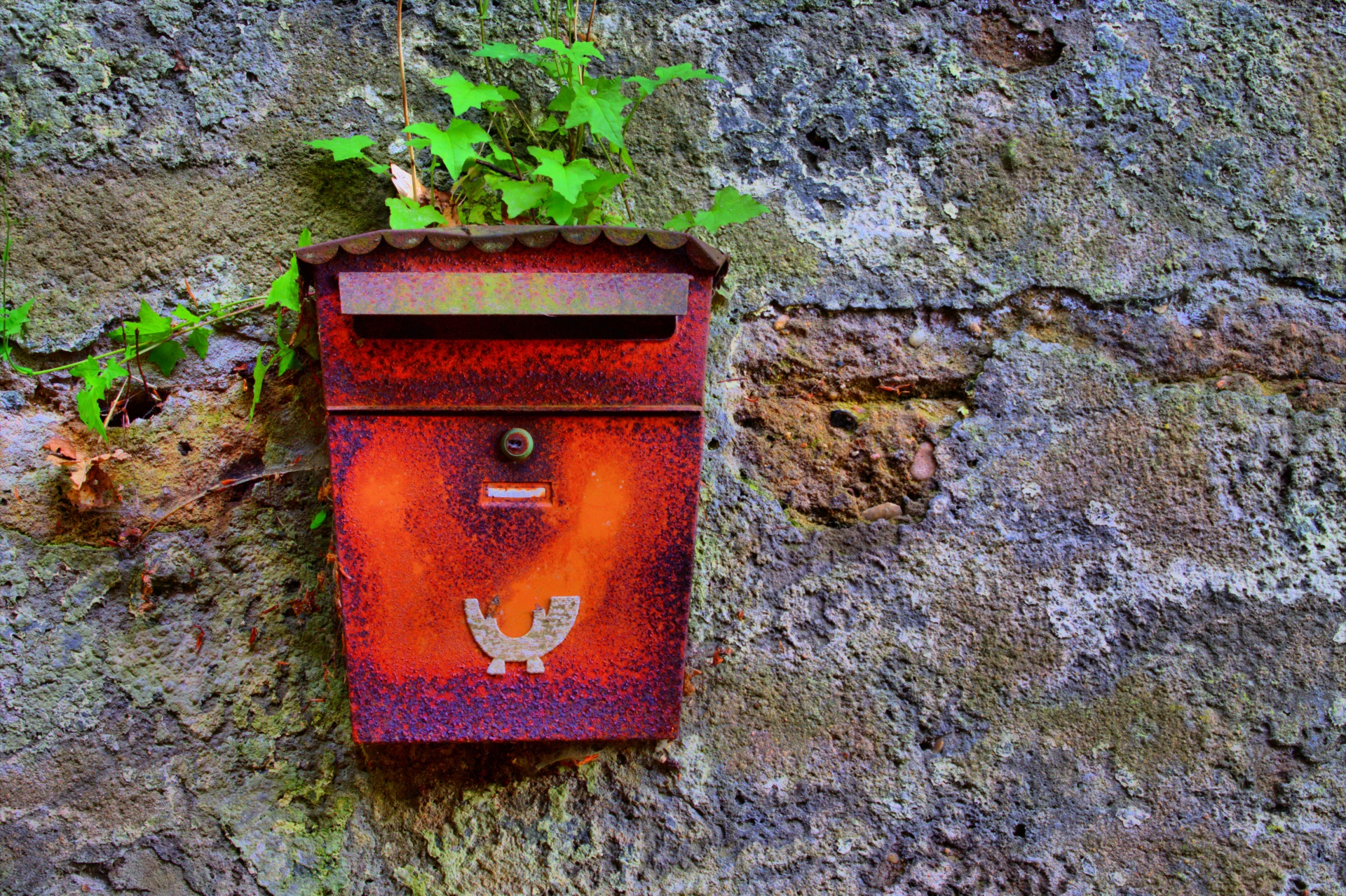 mailbox rust old free photo