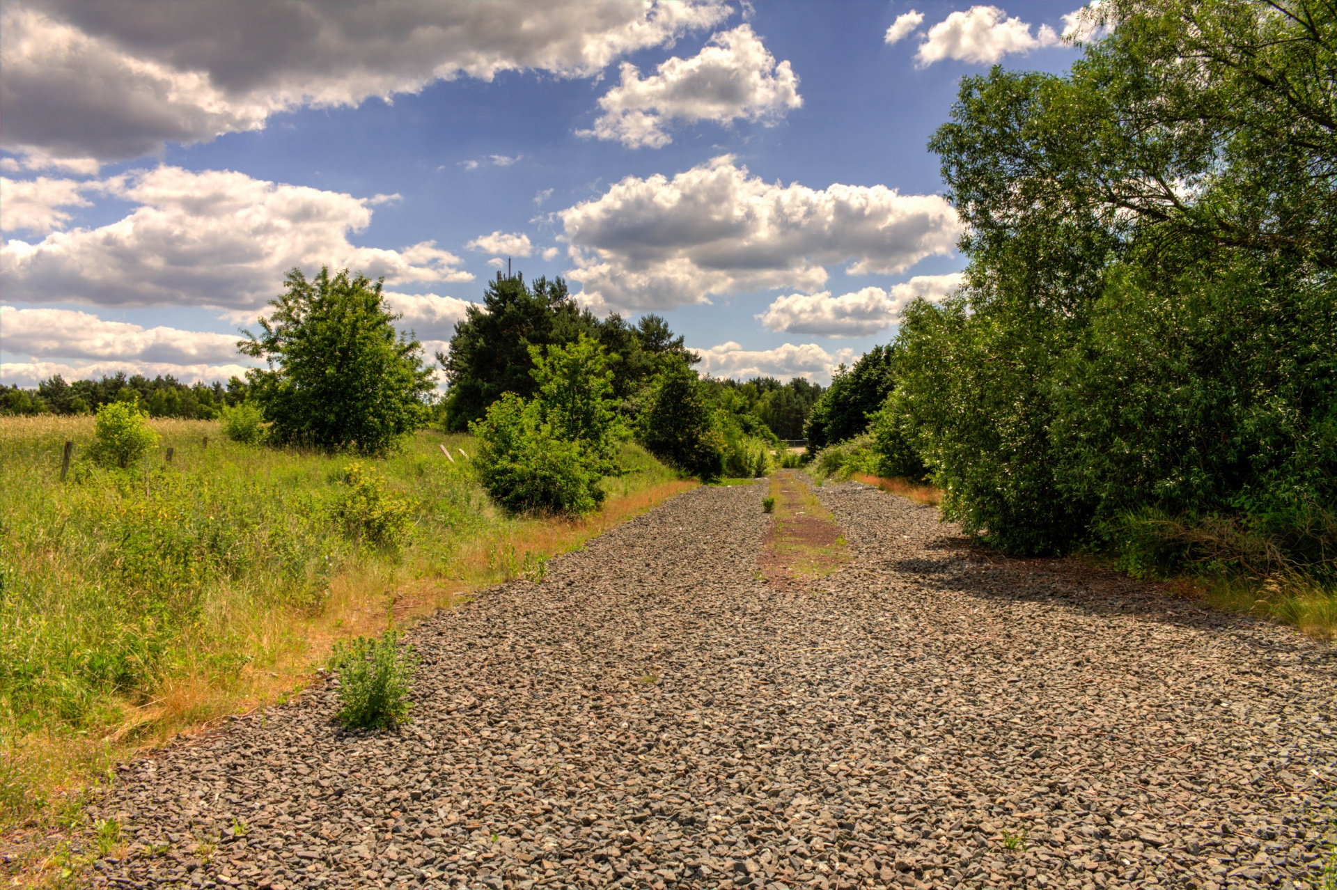 landscape season sun free photo