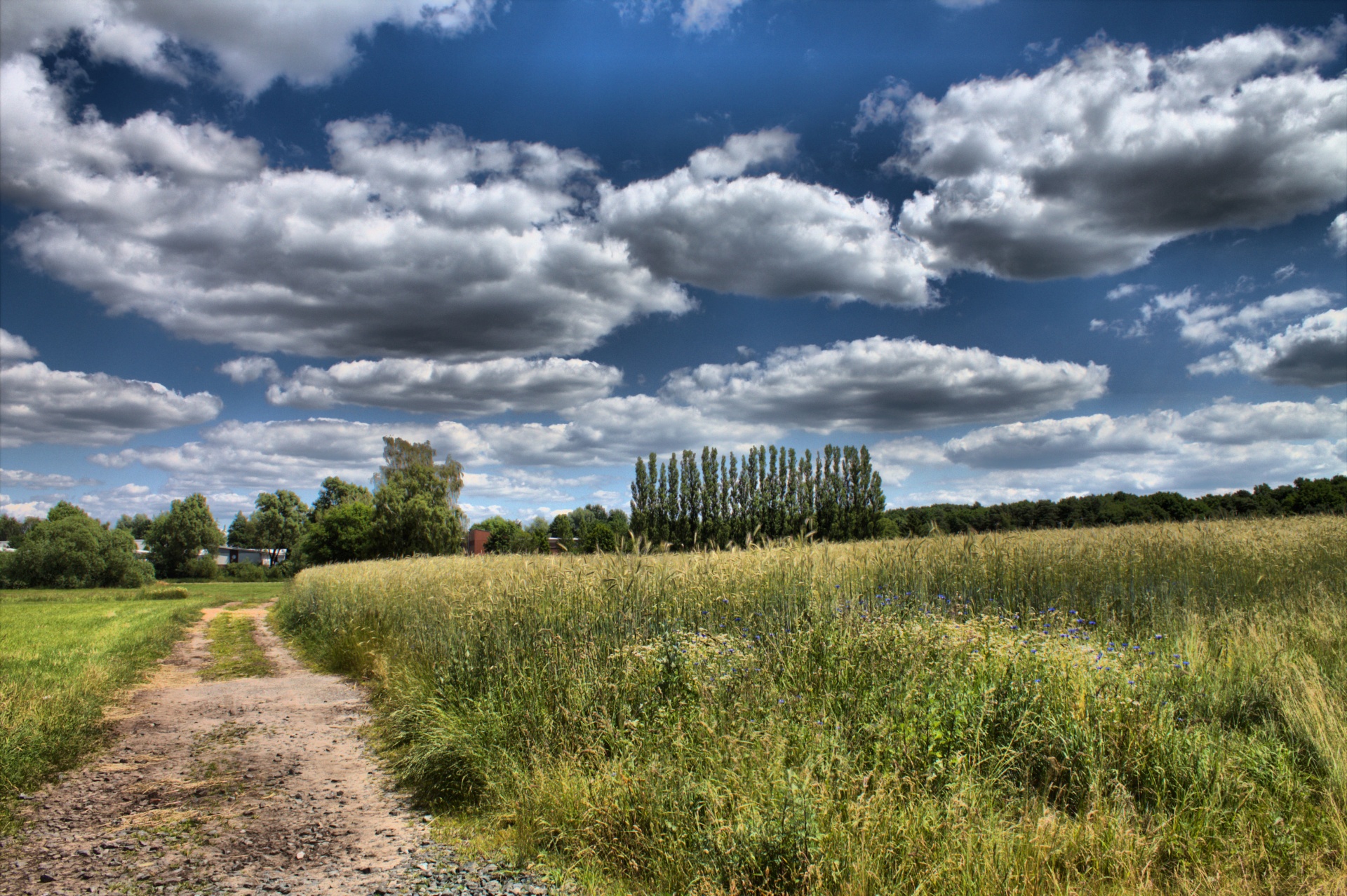 landscape season sun free photo